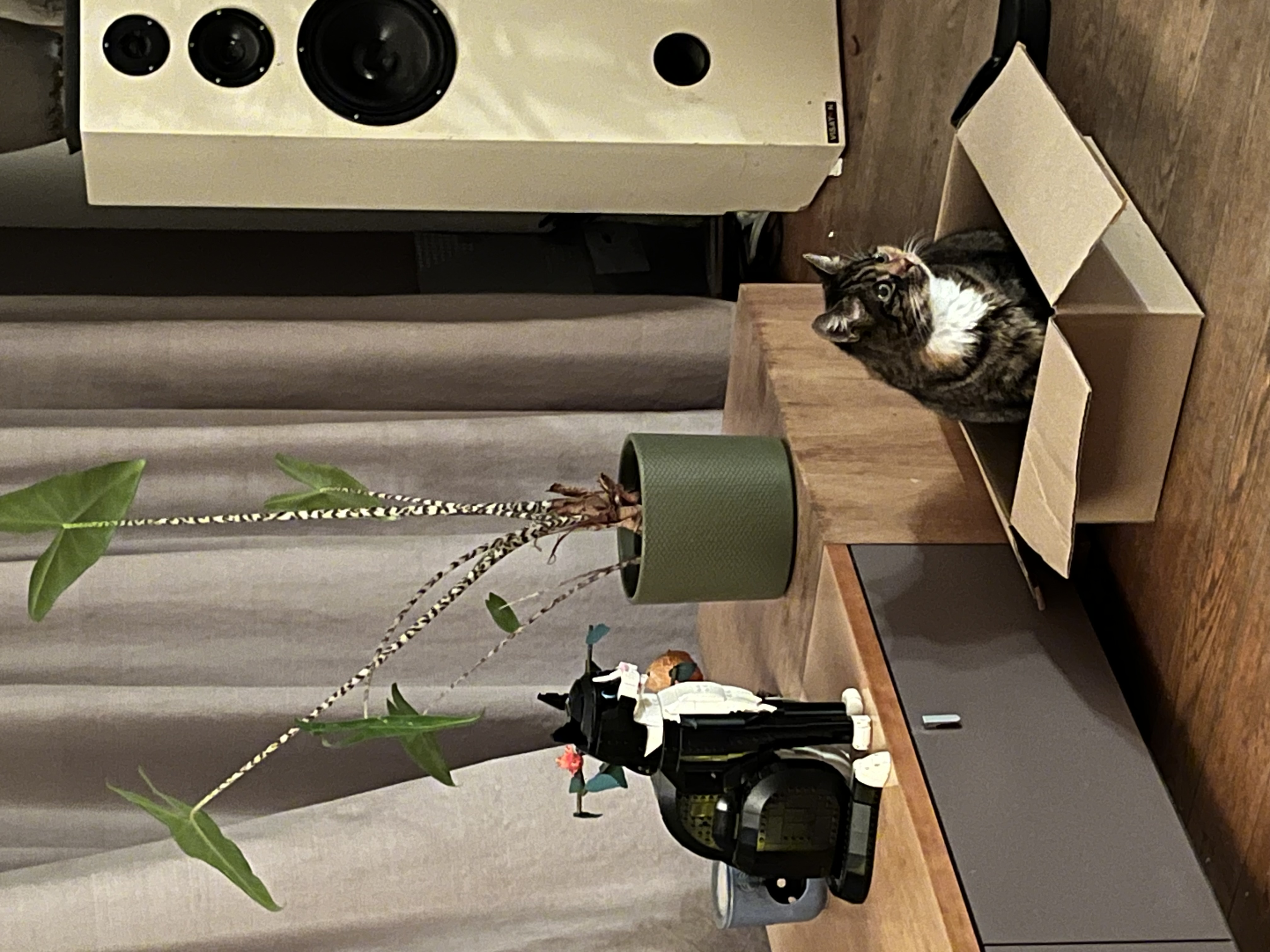 image-9