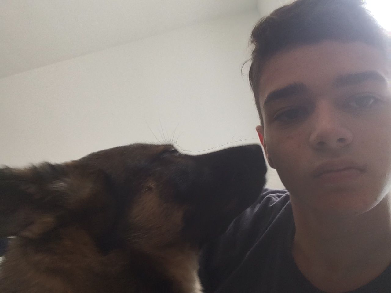 image-7