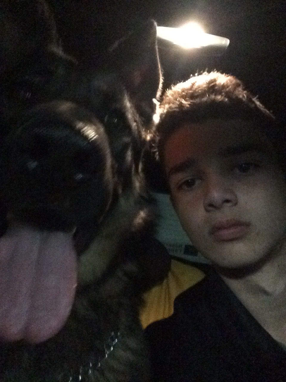 image-8