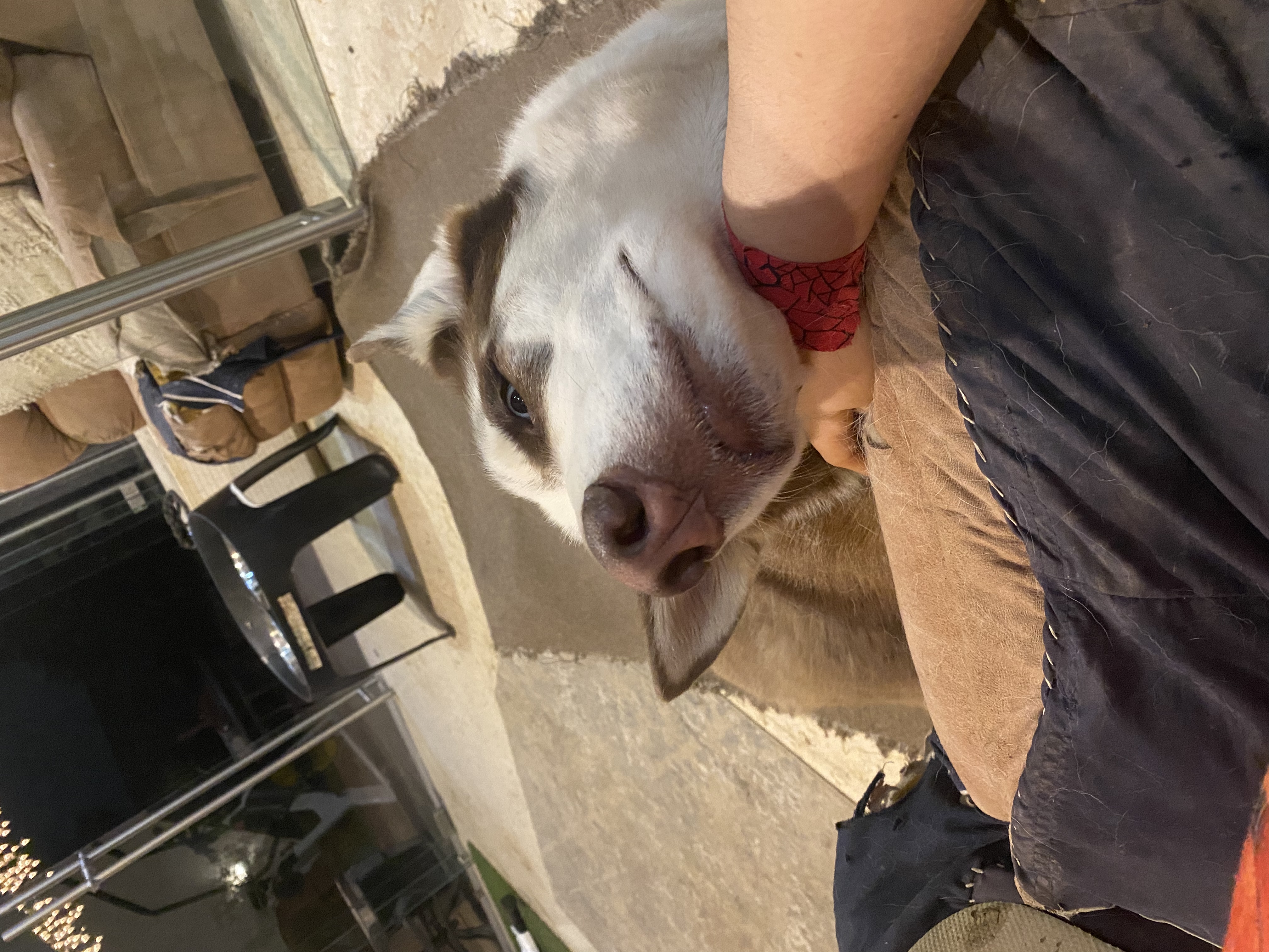image-8