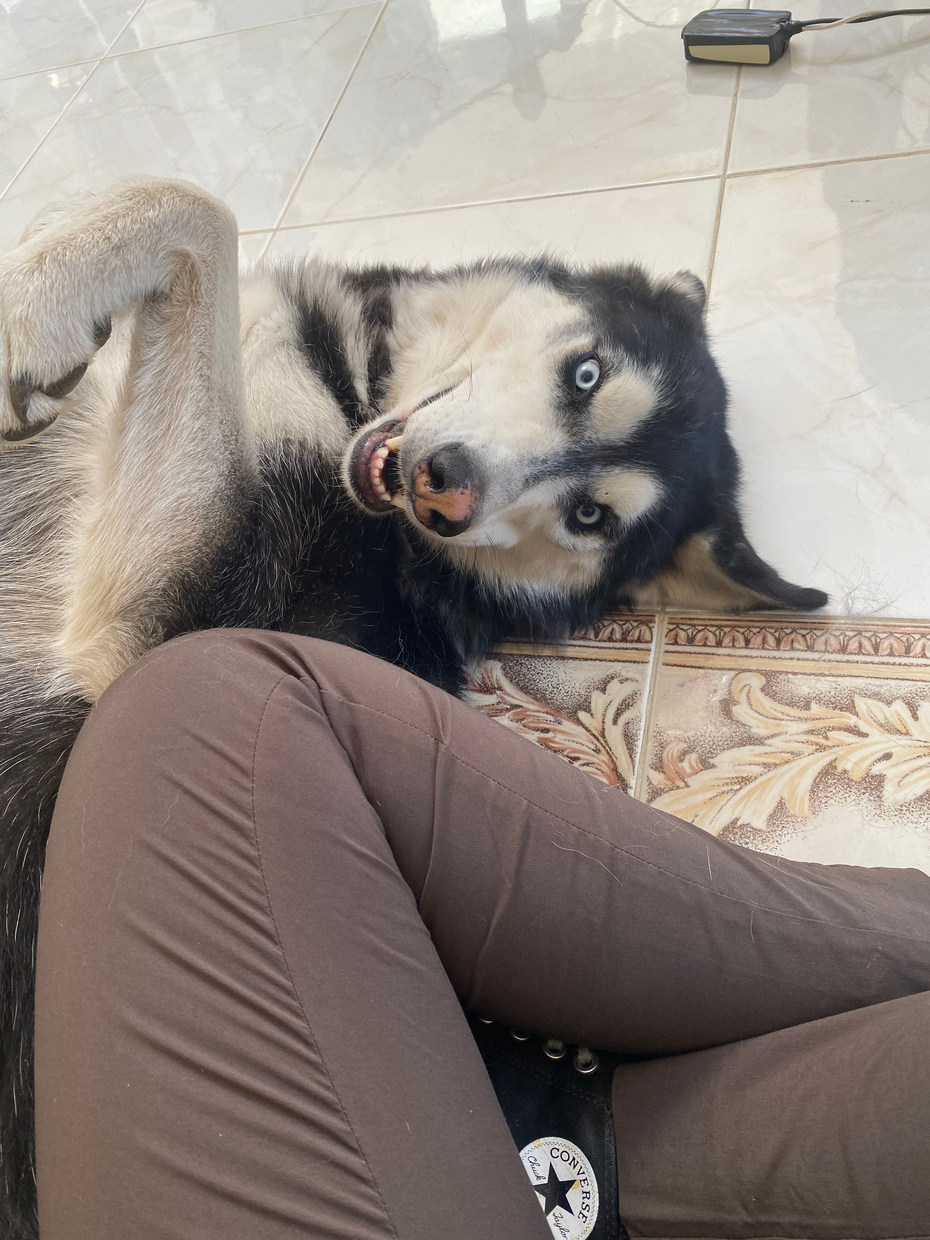 image-6
