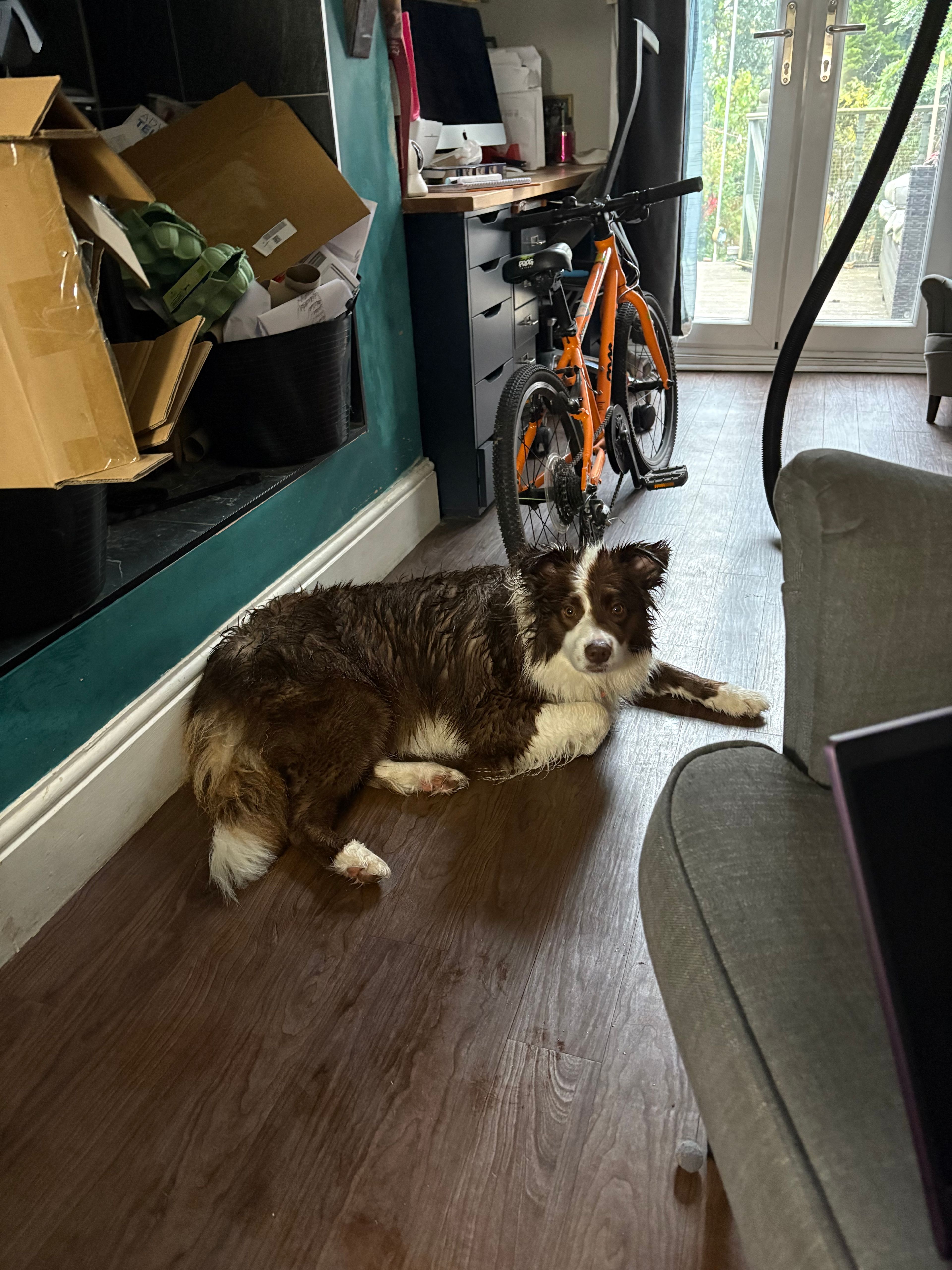 image-17