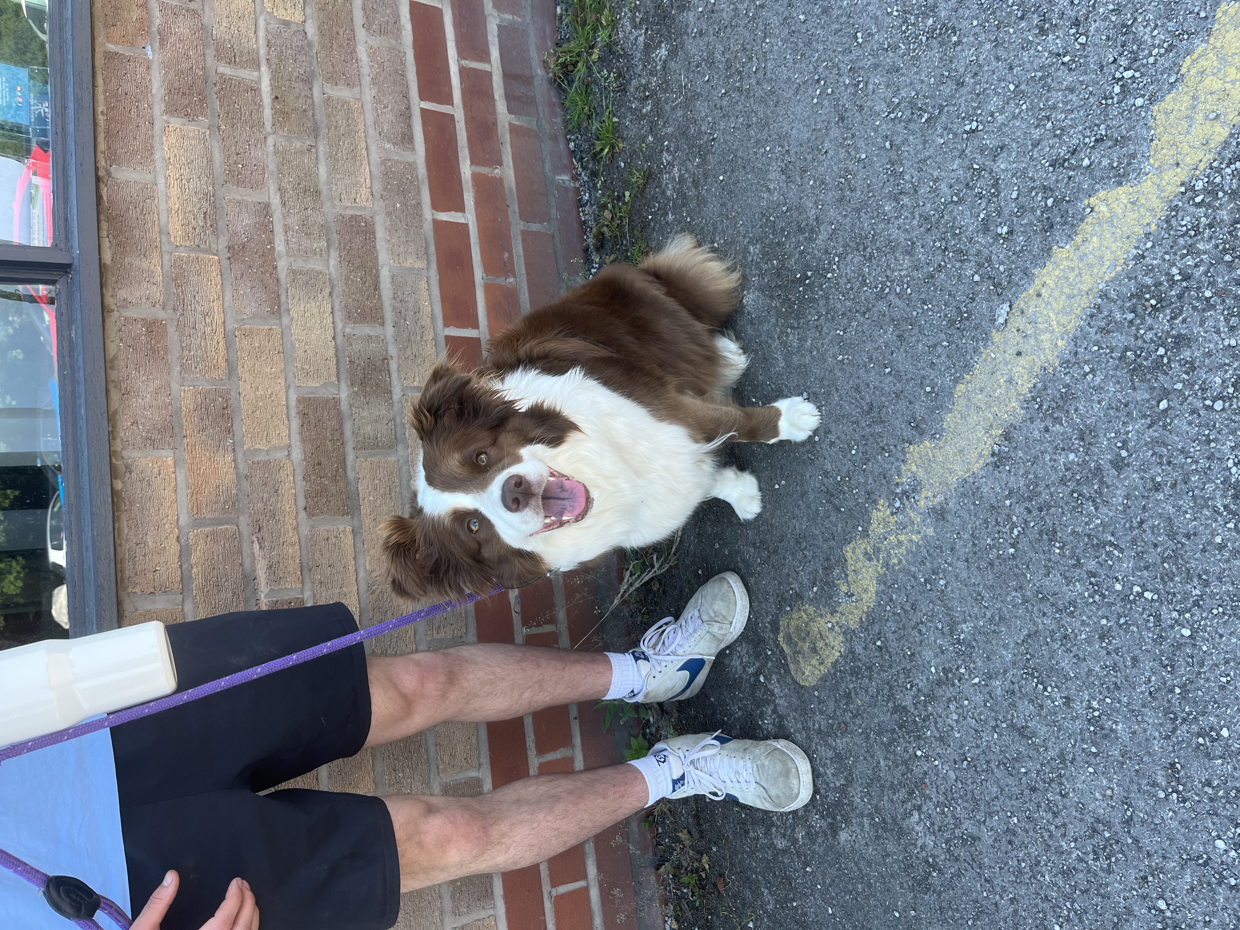 image-16