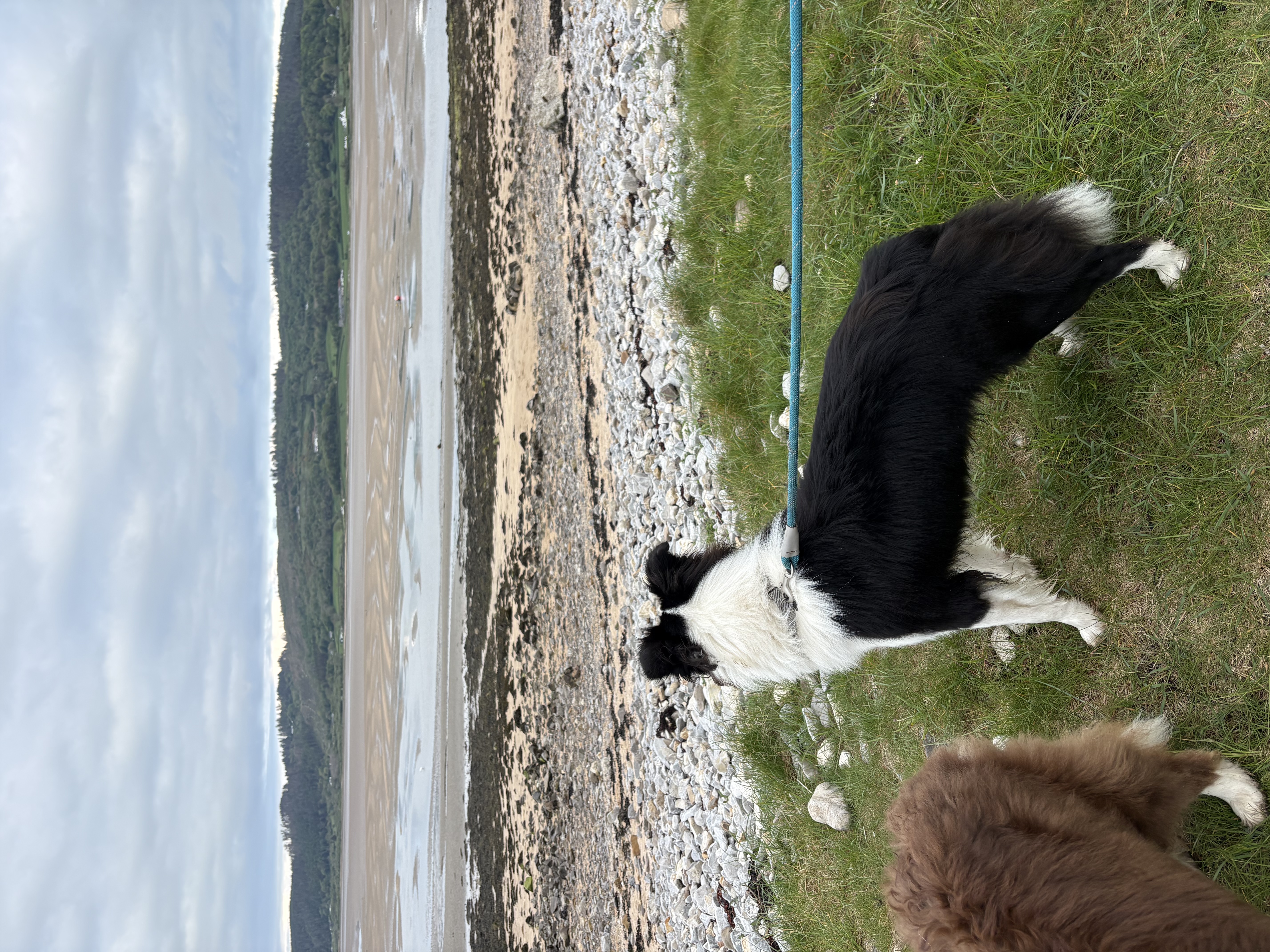 image-9