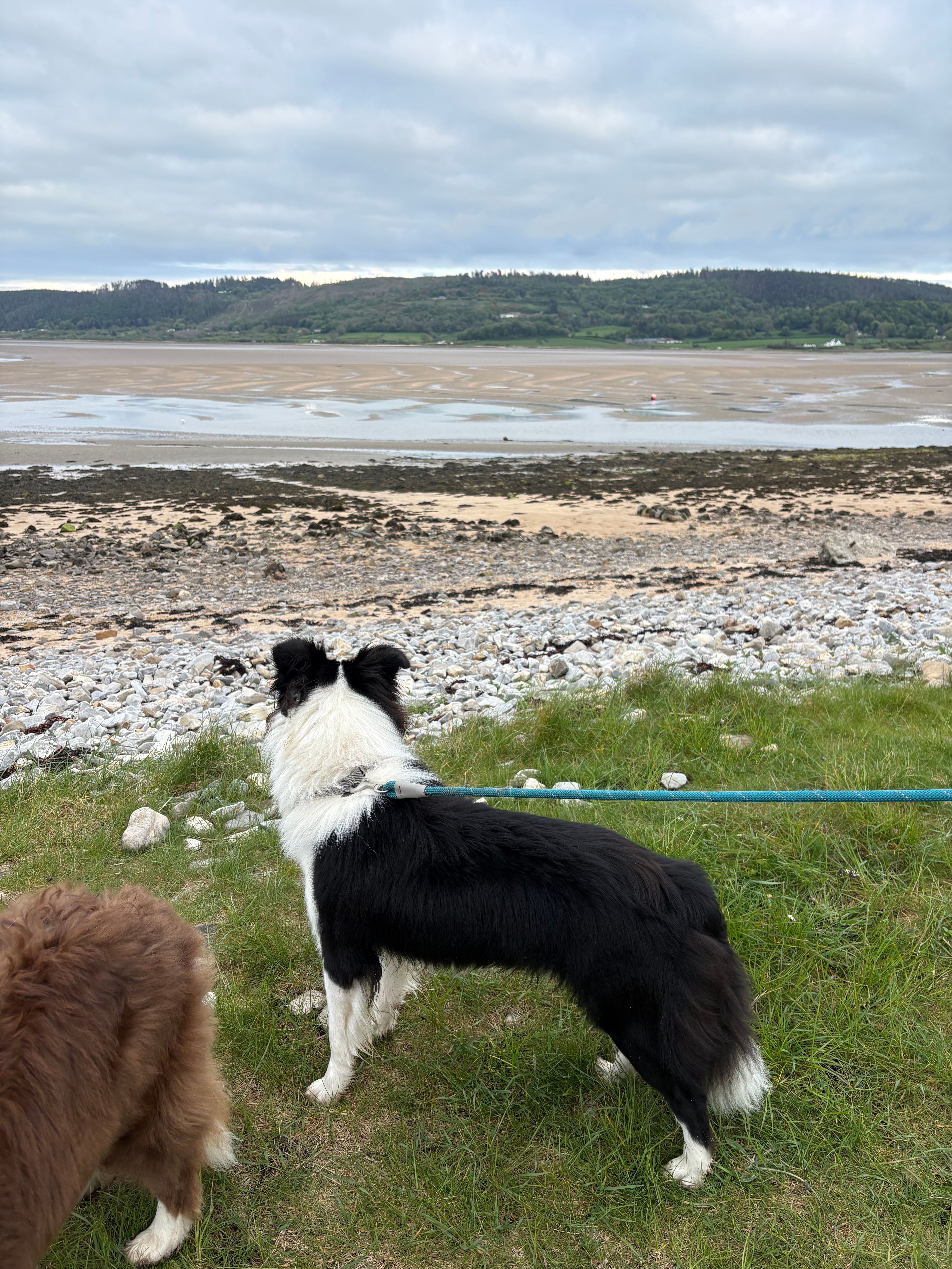 image-9
