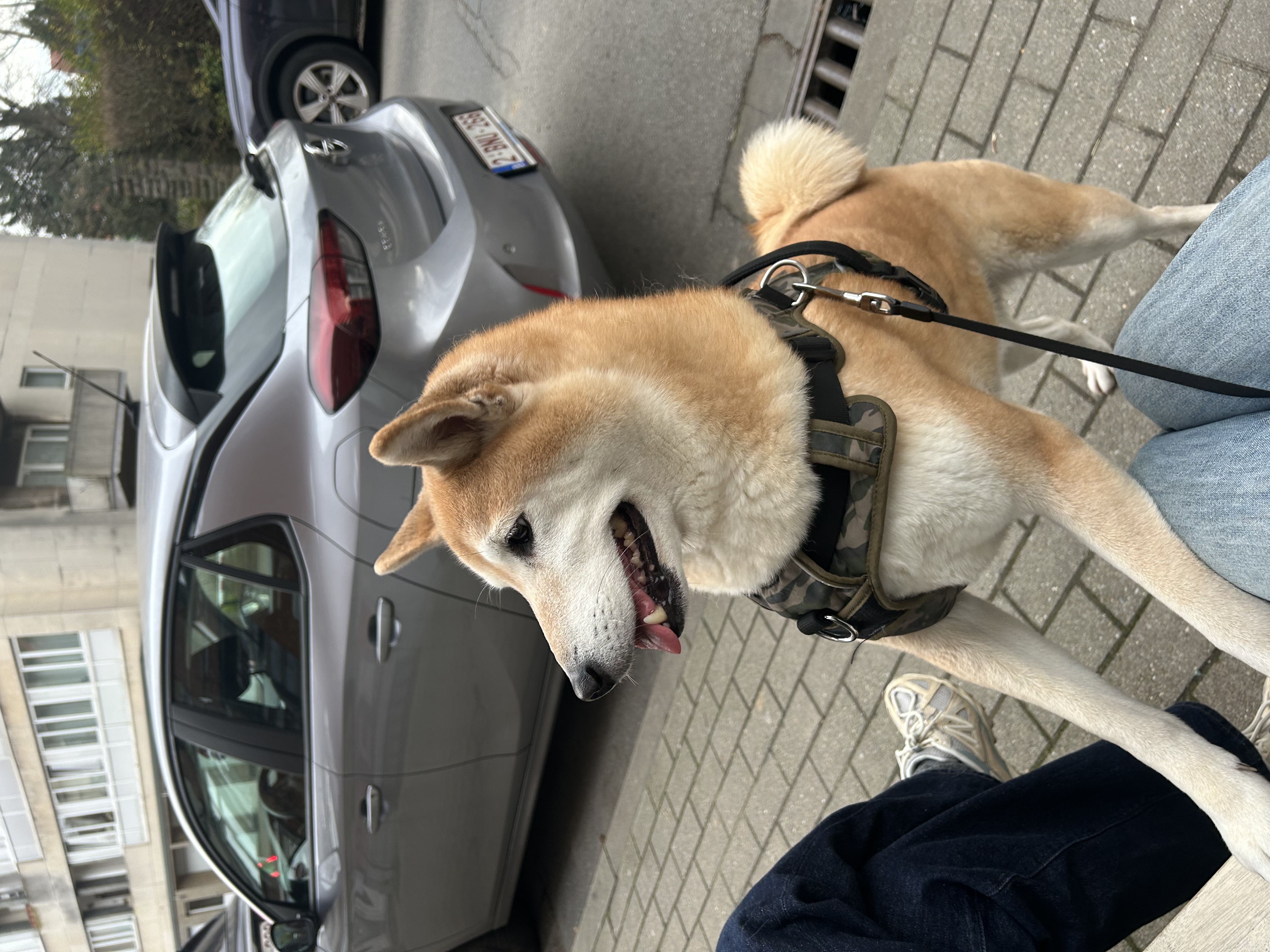 image-14