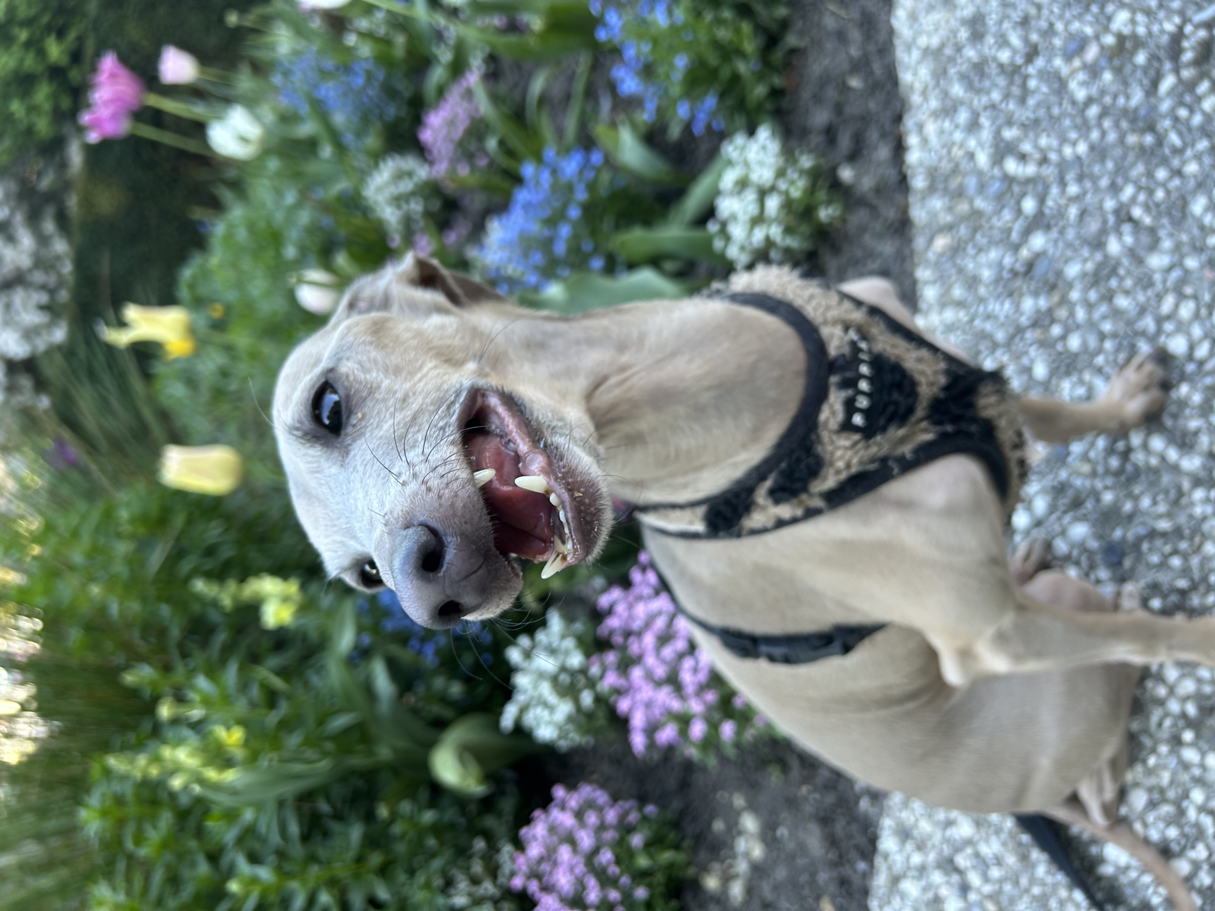 image-23