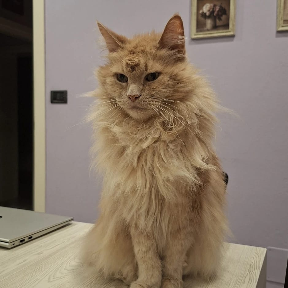 Victor
