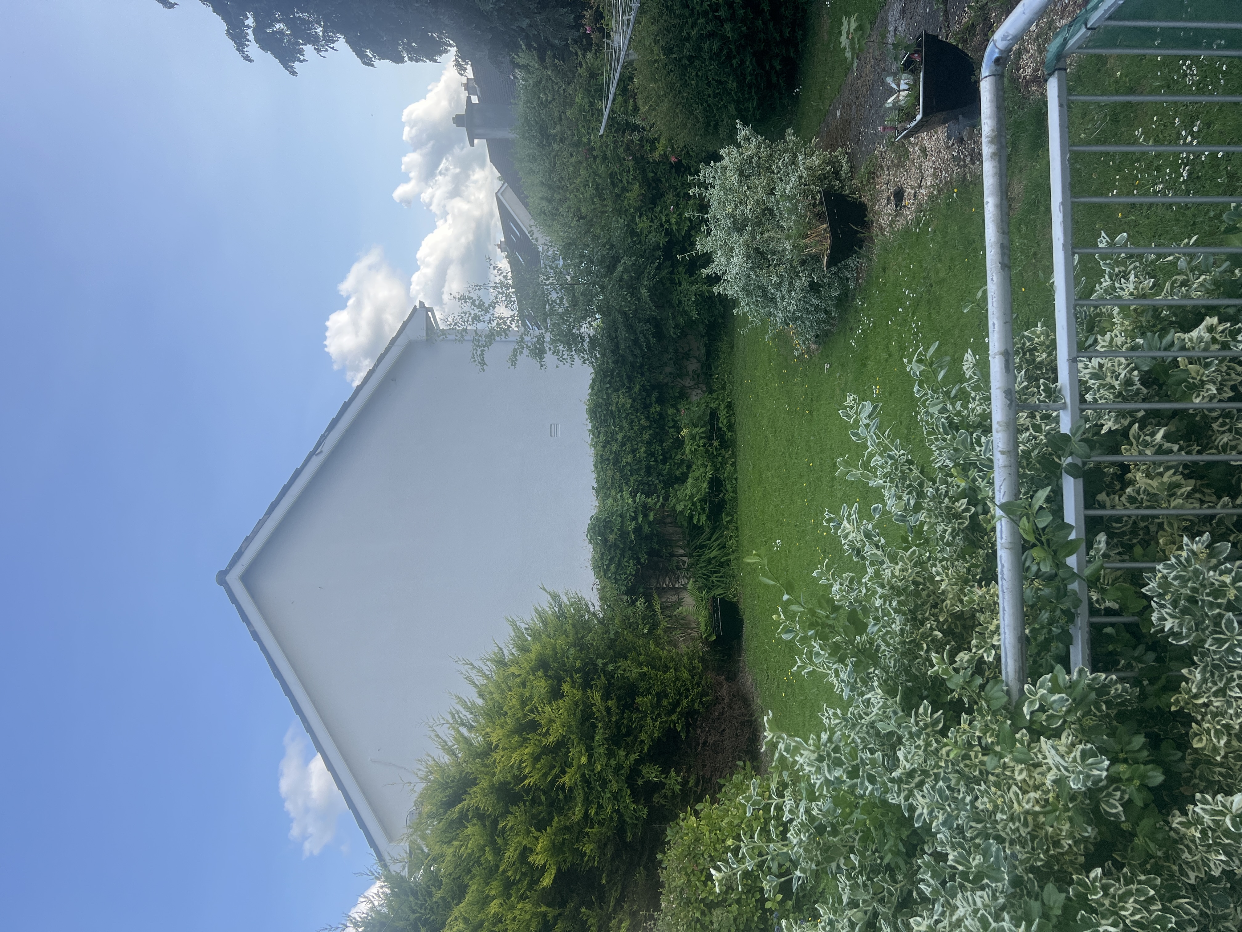 image-18