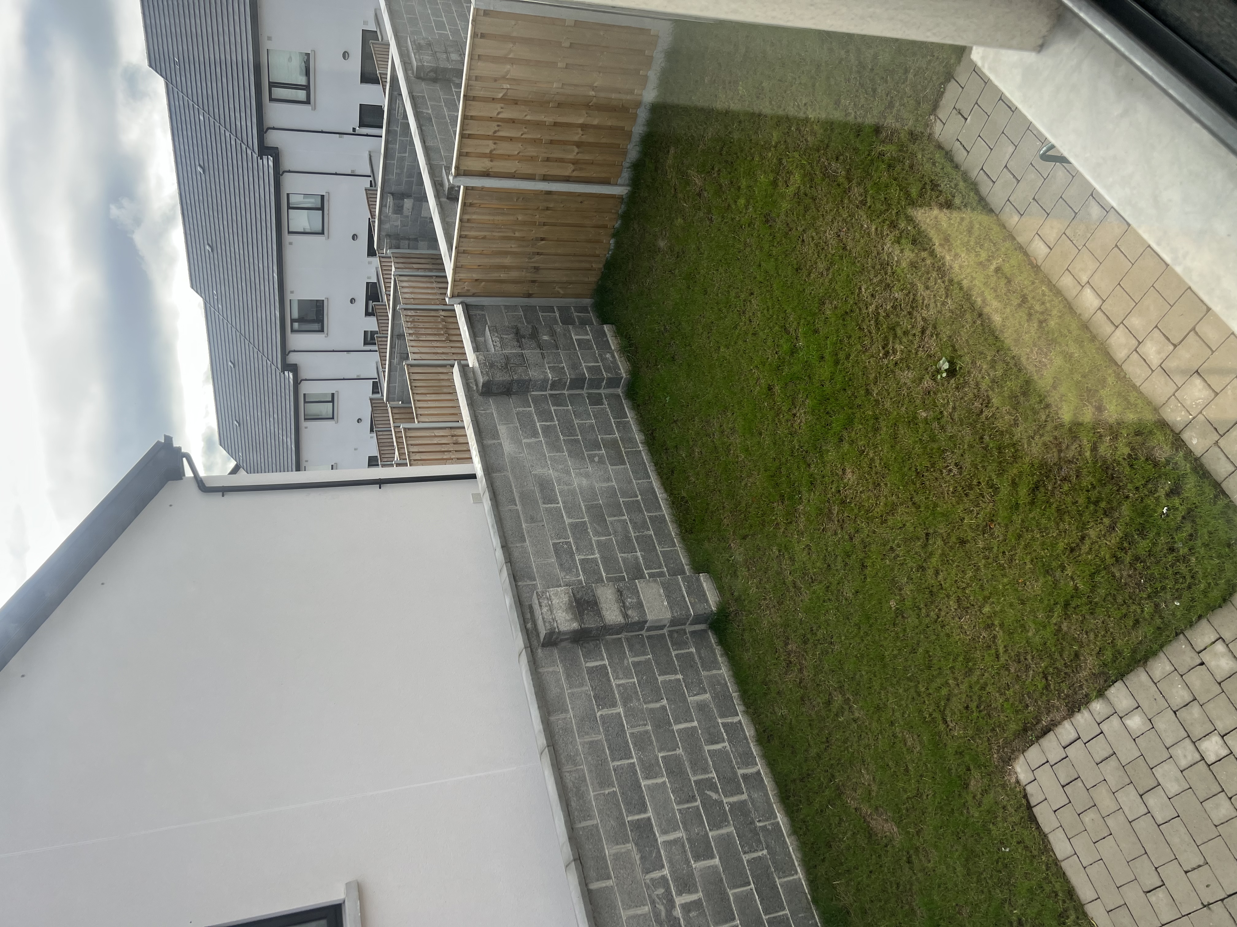 image-19