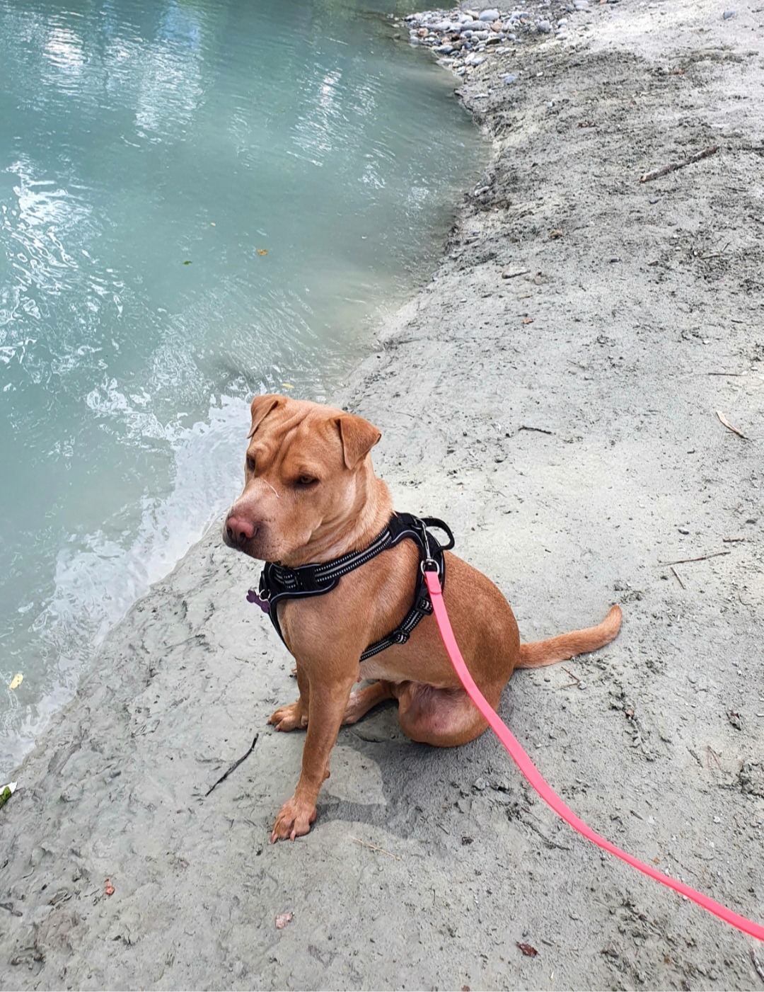 image-3
