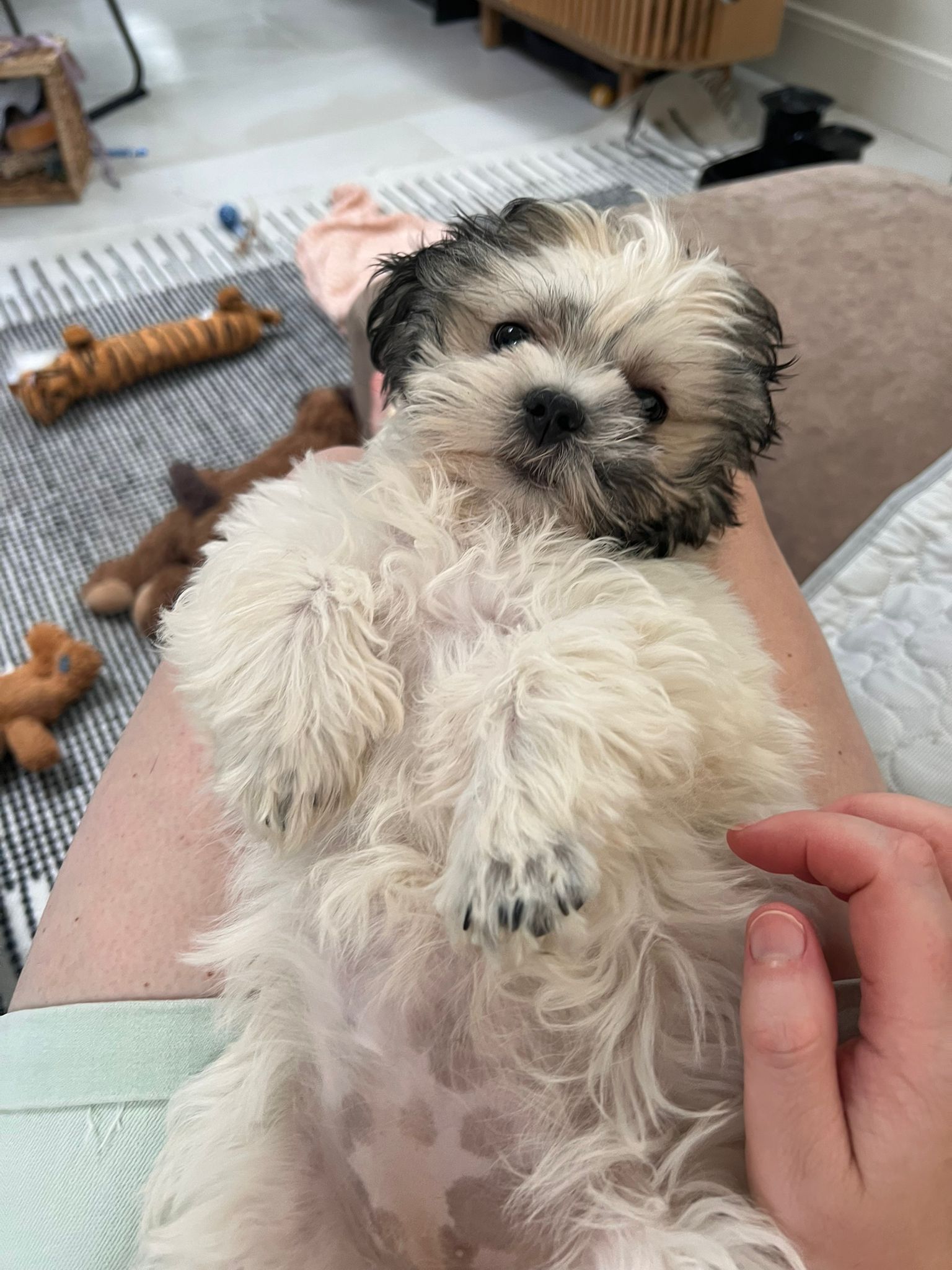 image-140