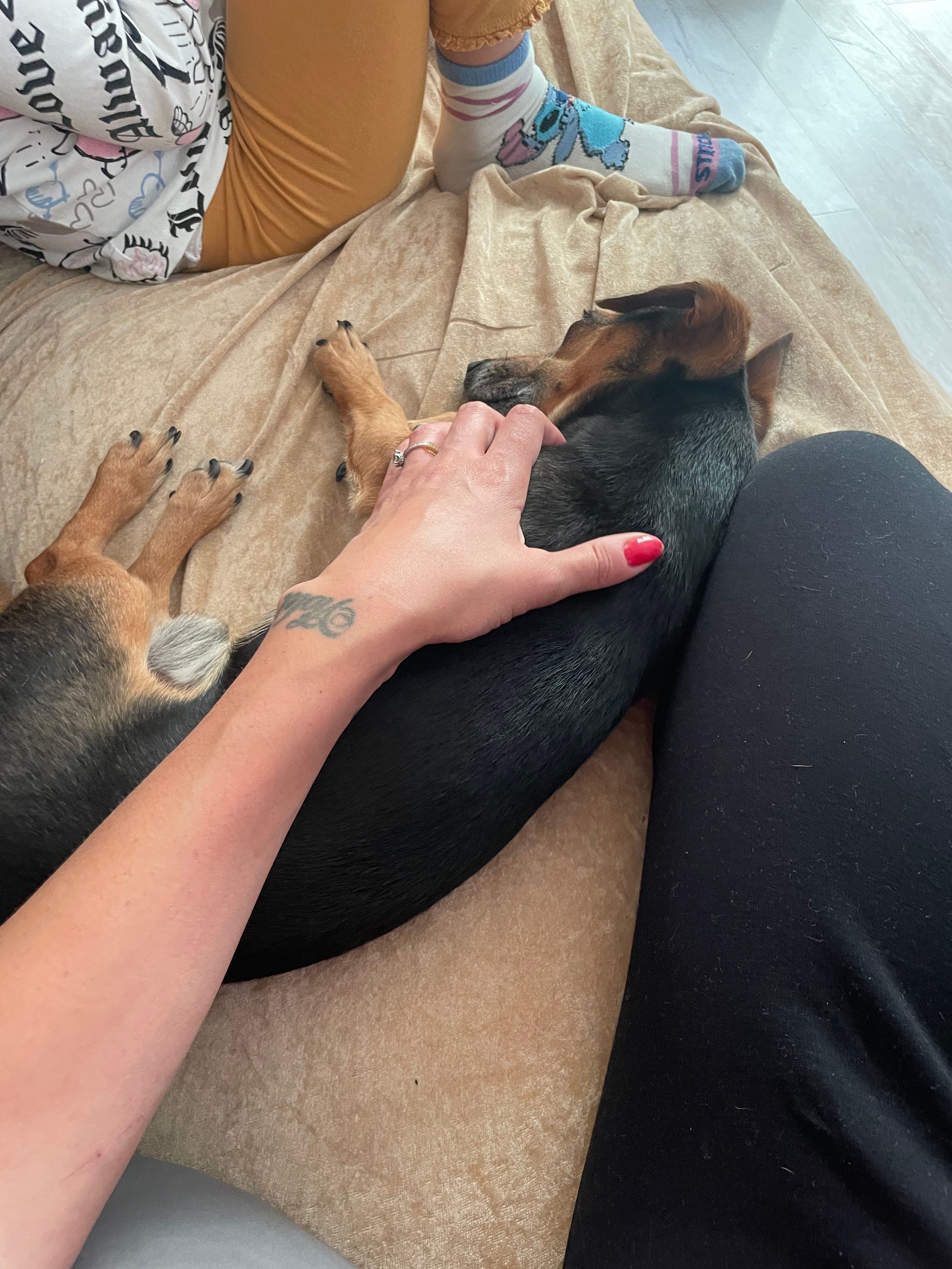 image-135