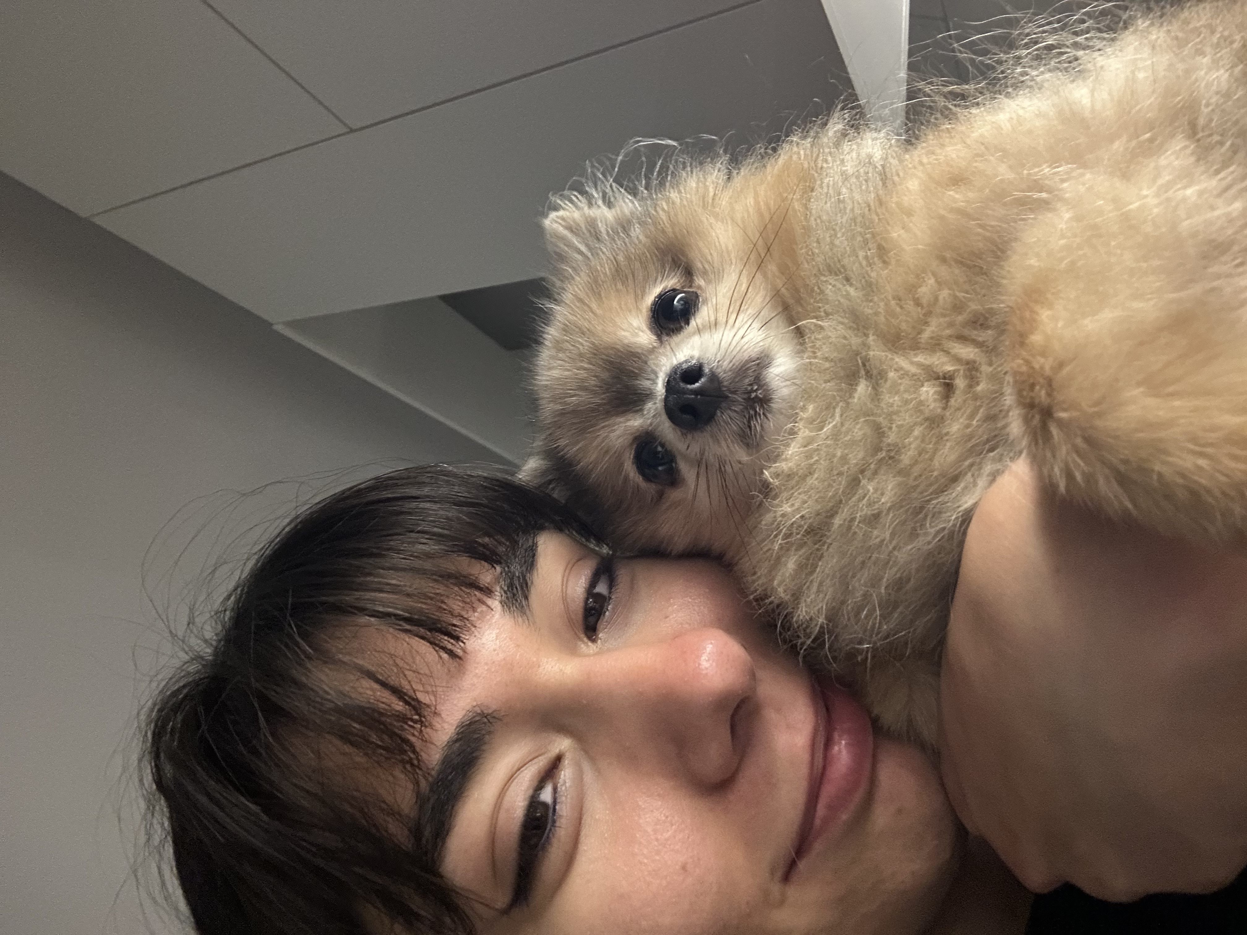 image-6