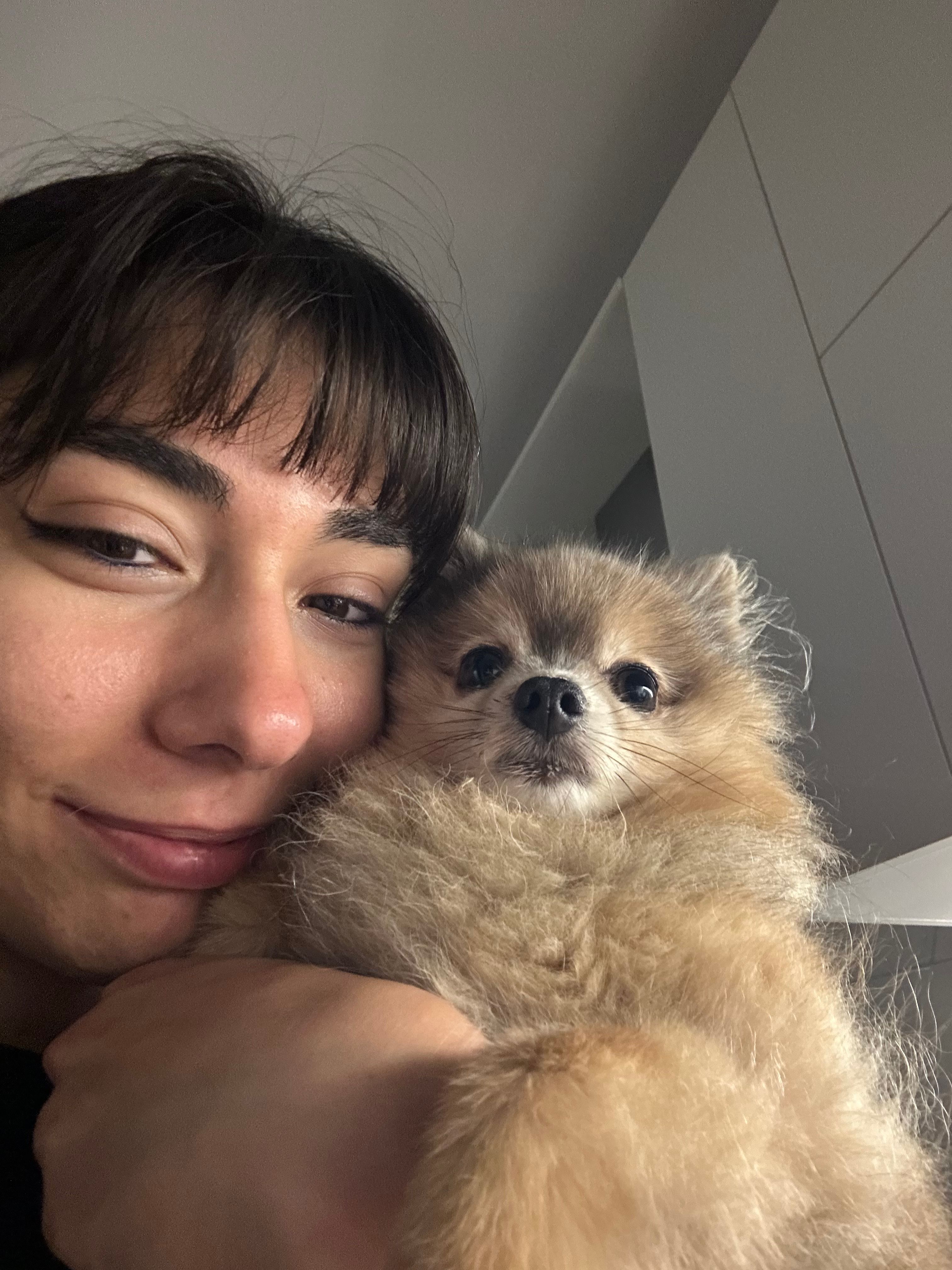 image-6