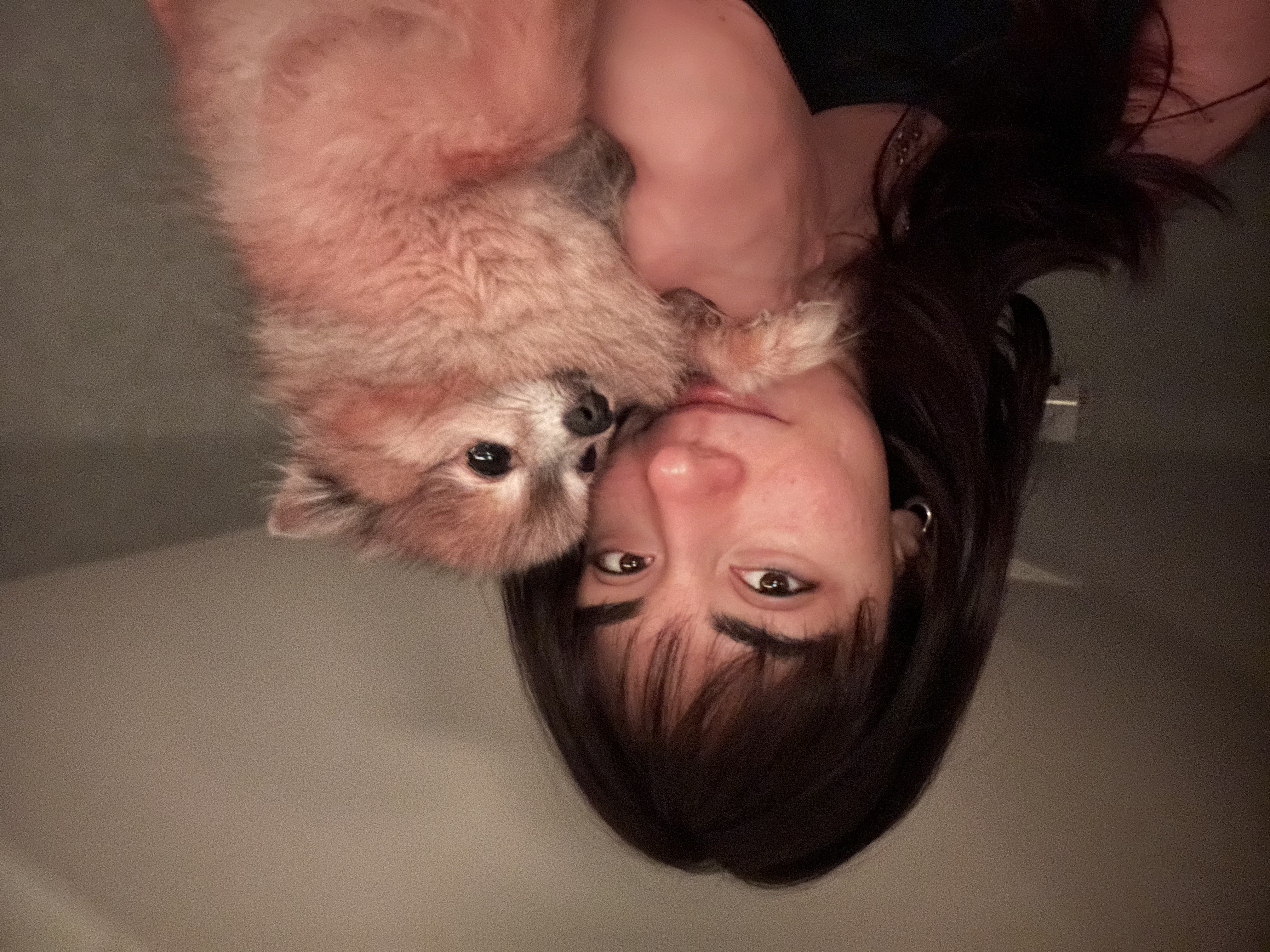 image-8