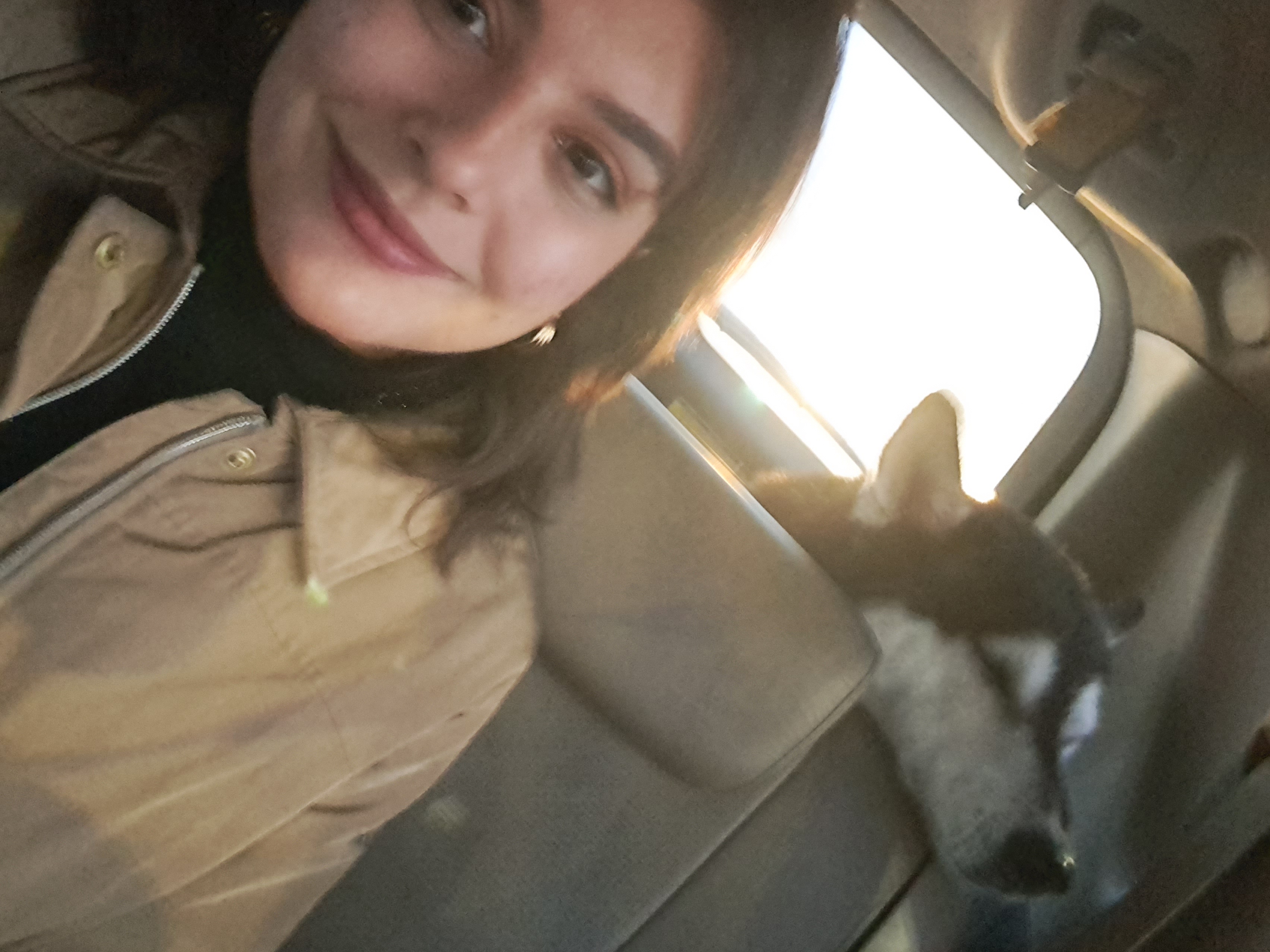 image-2