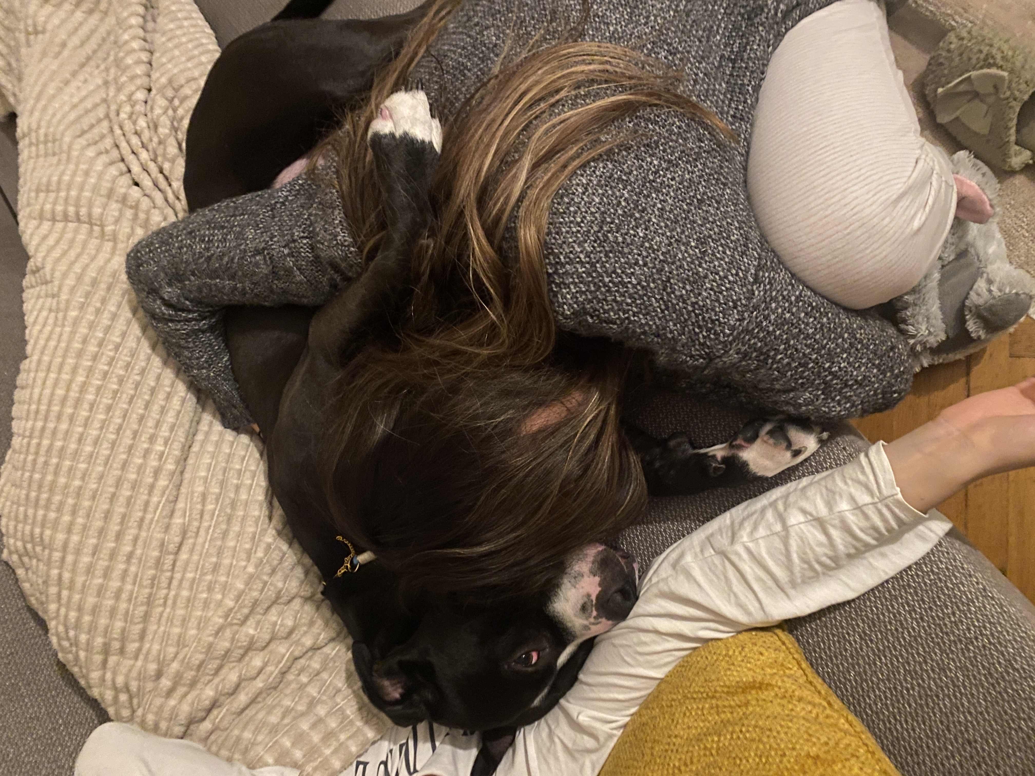 image-9