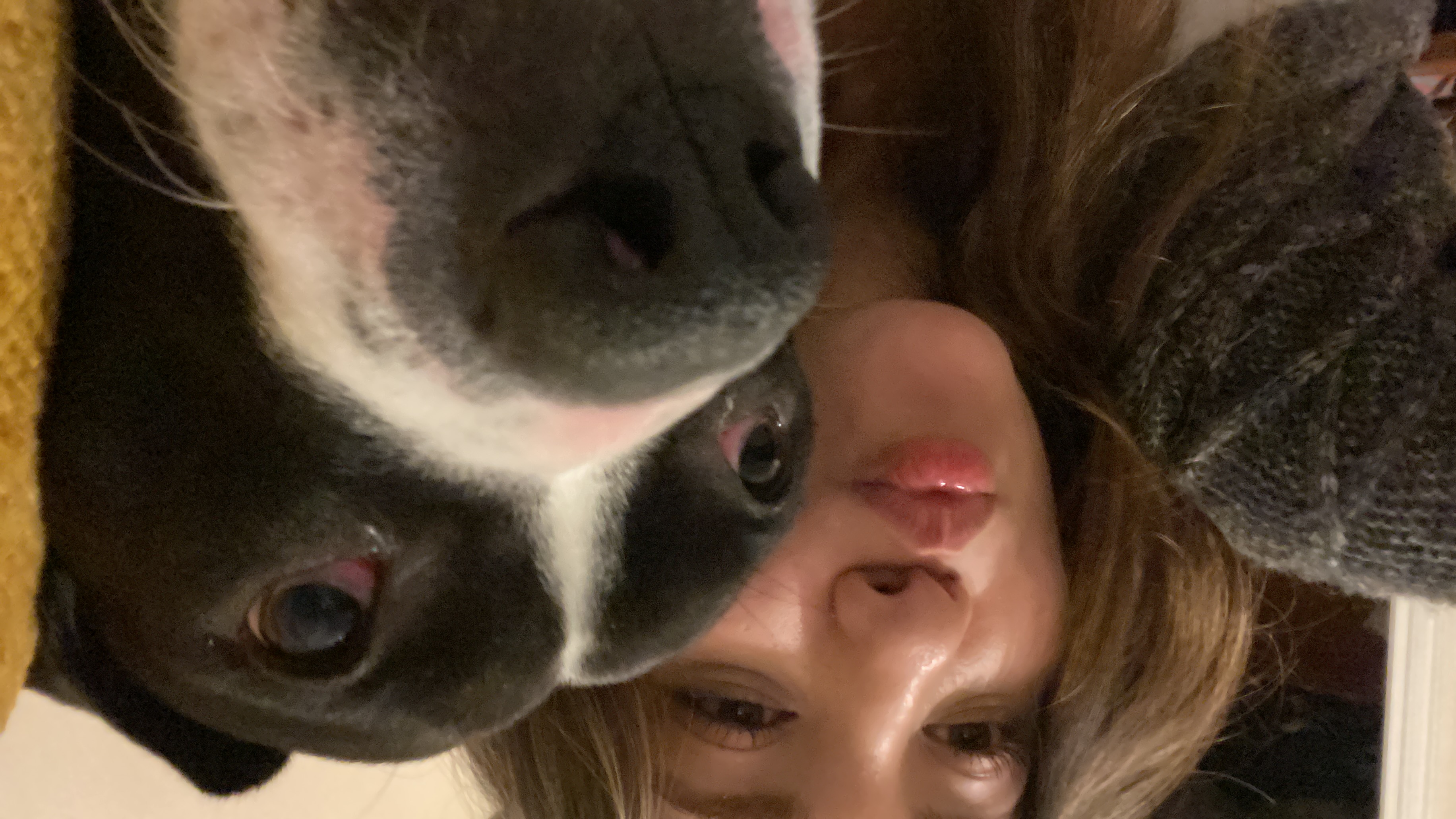 image-8