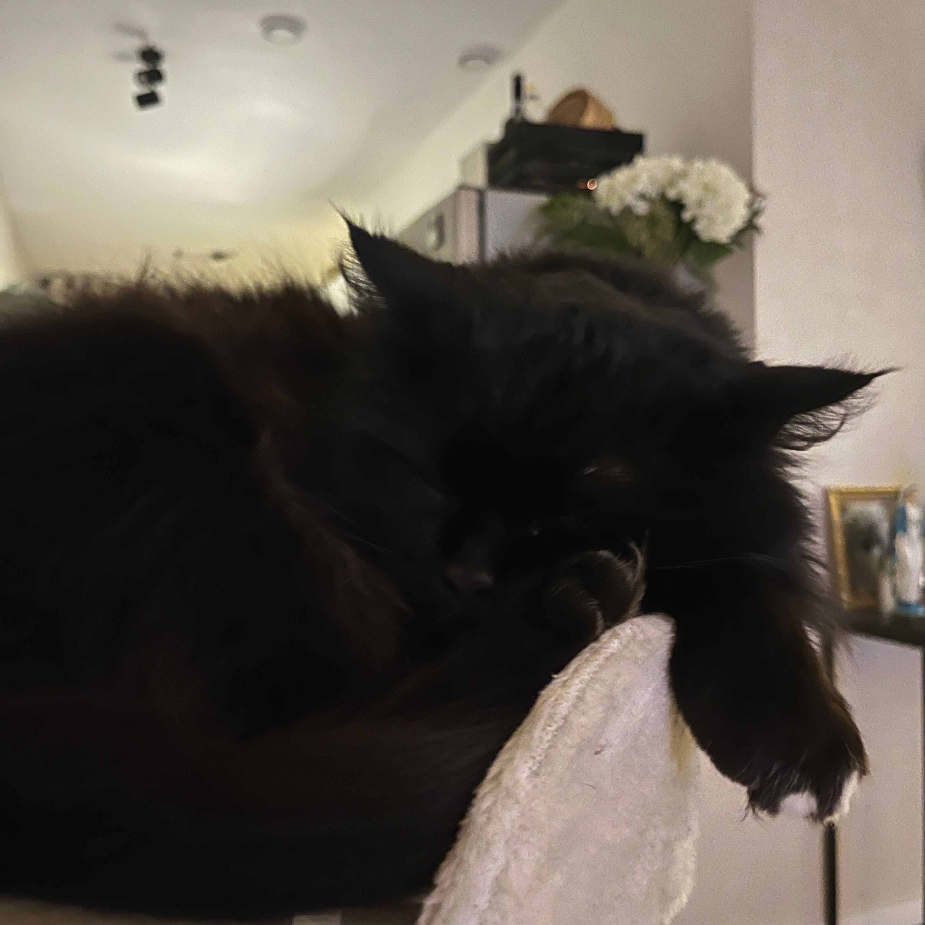 Winnie