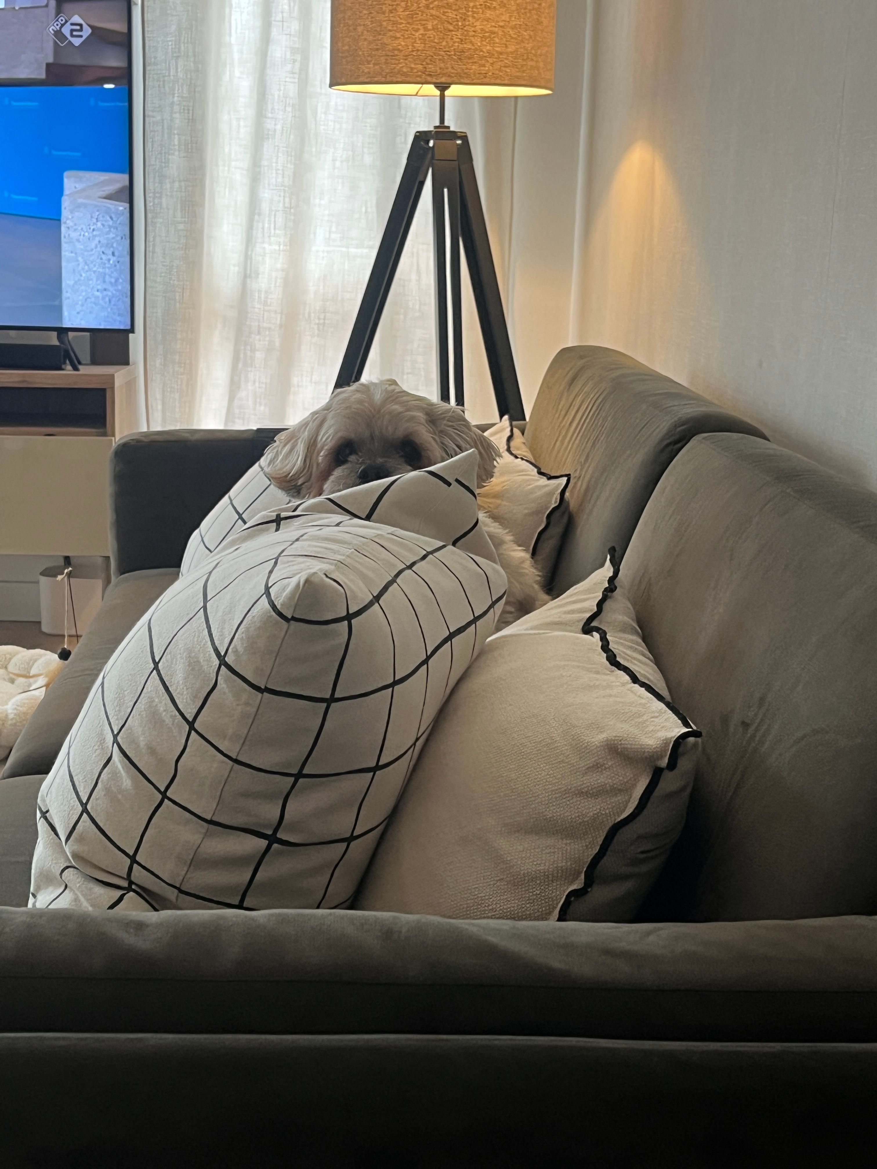 image-12