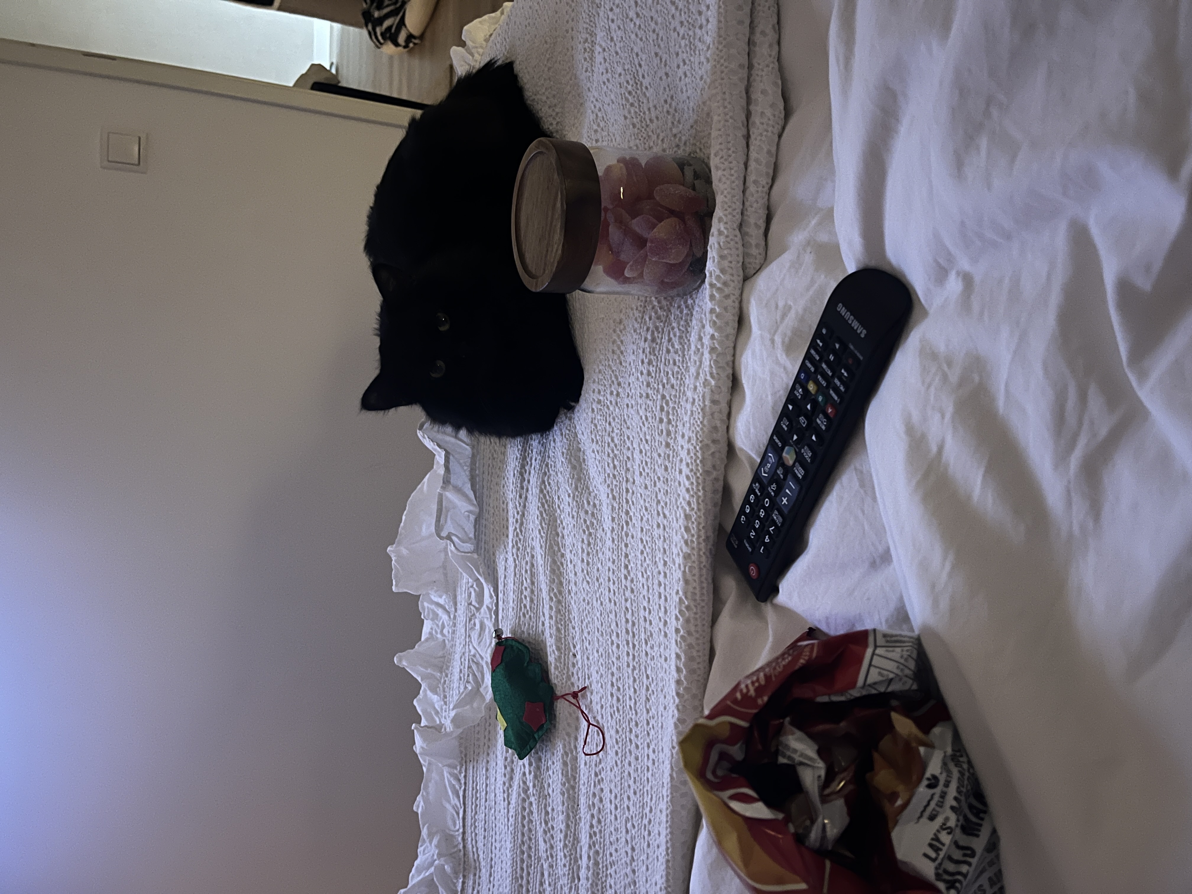 image-16