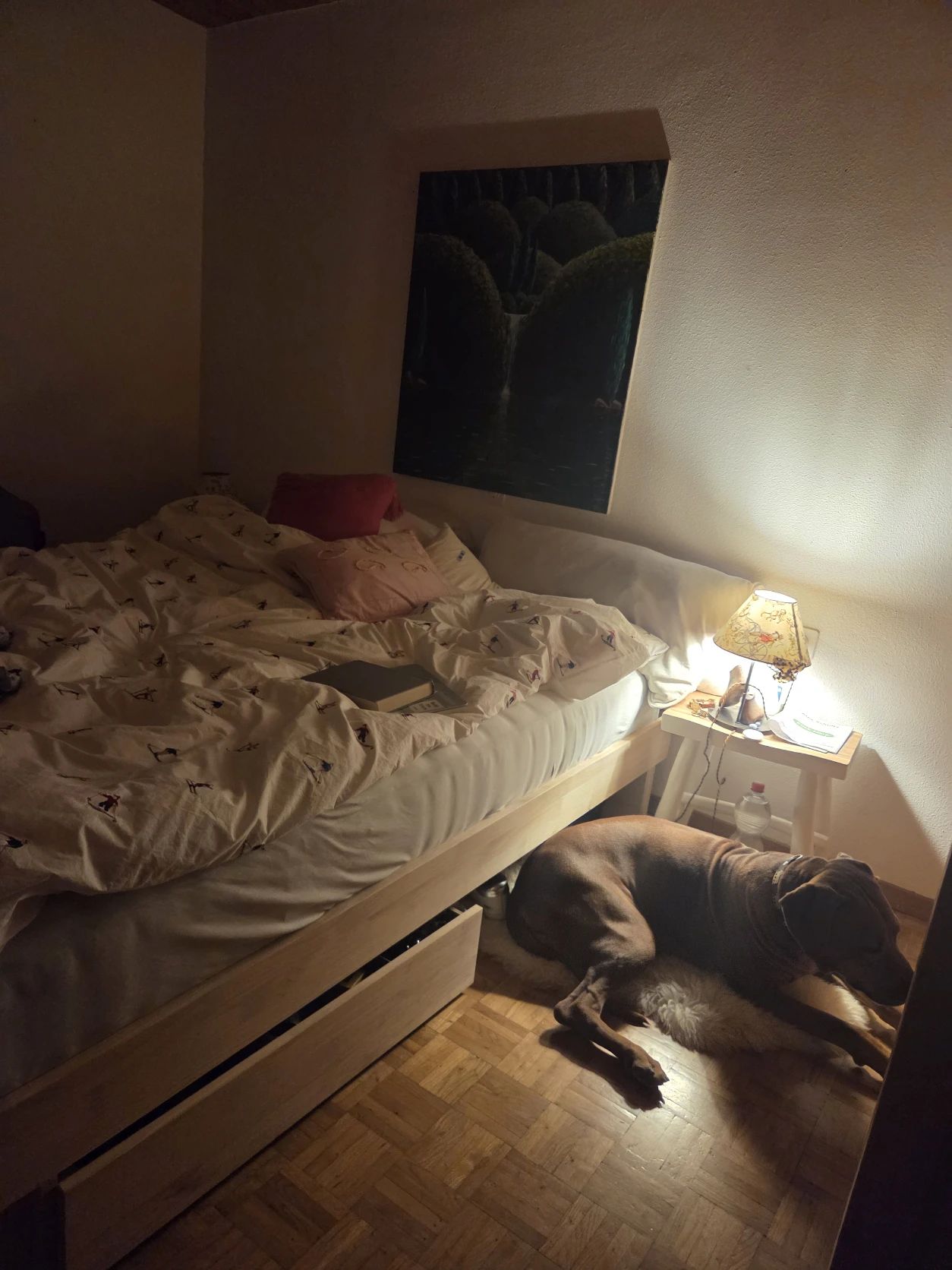 image-5