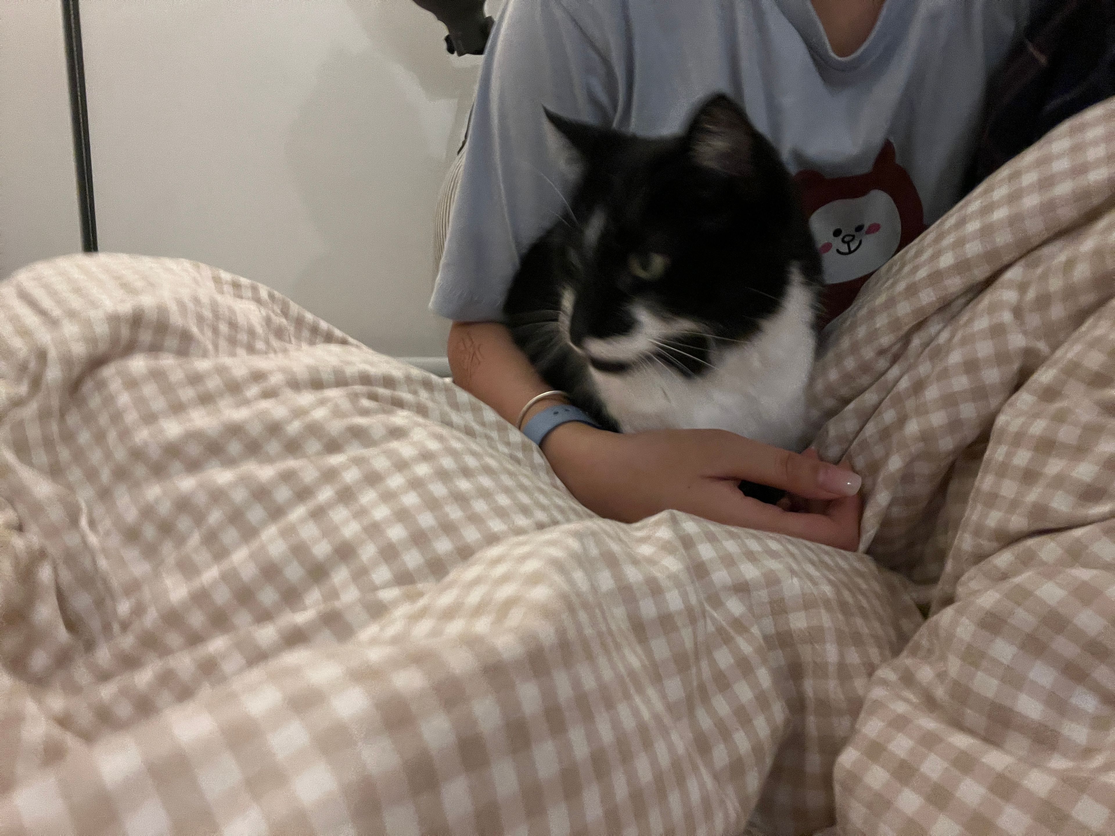 image-12