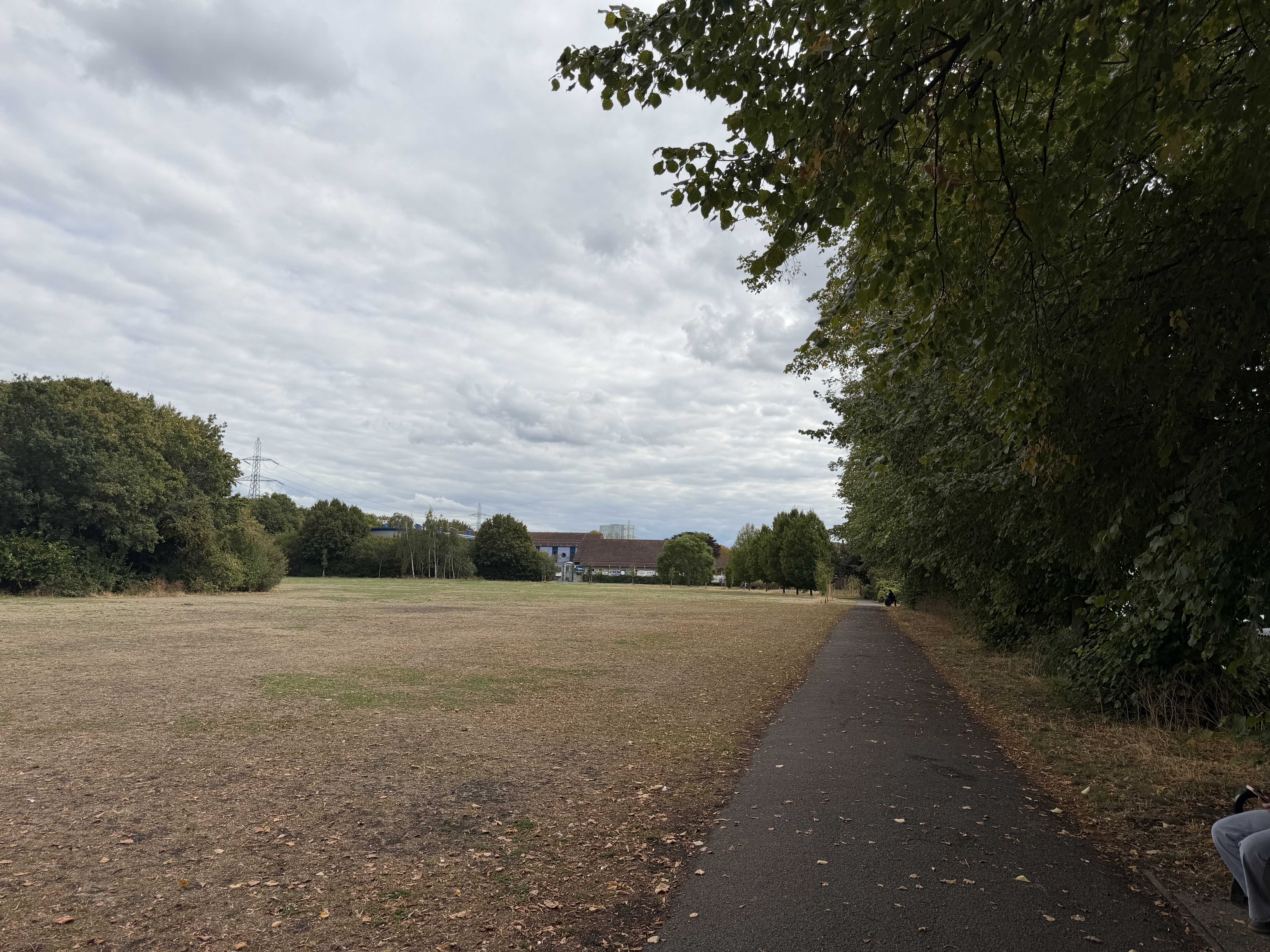 image-21
