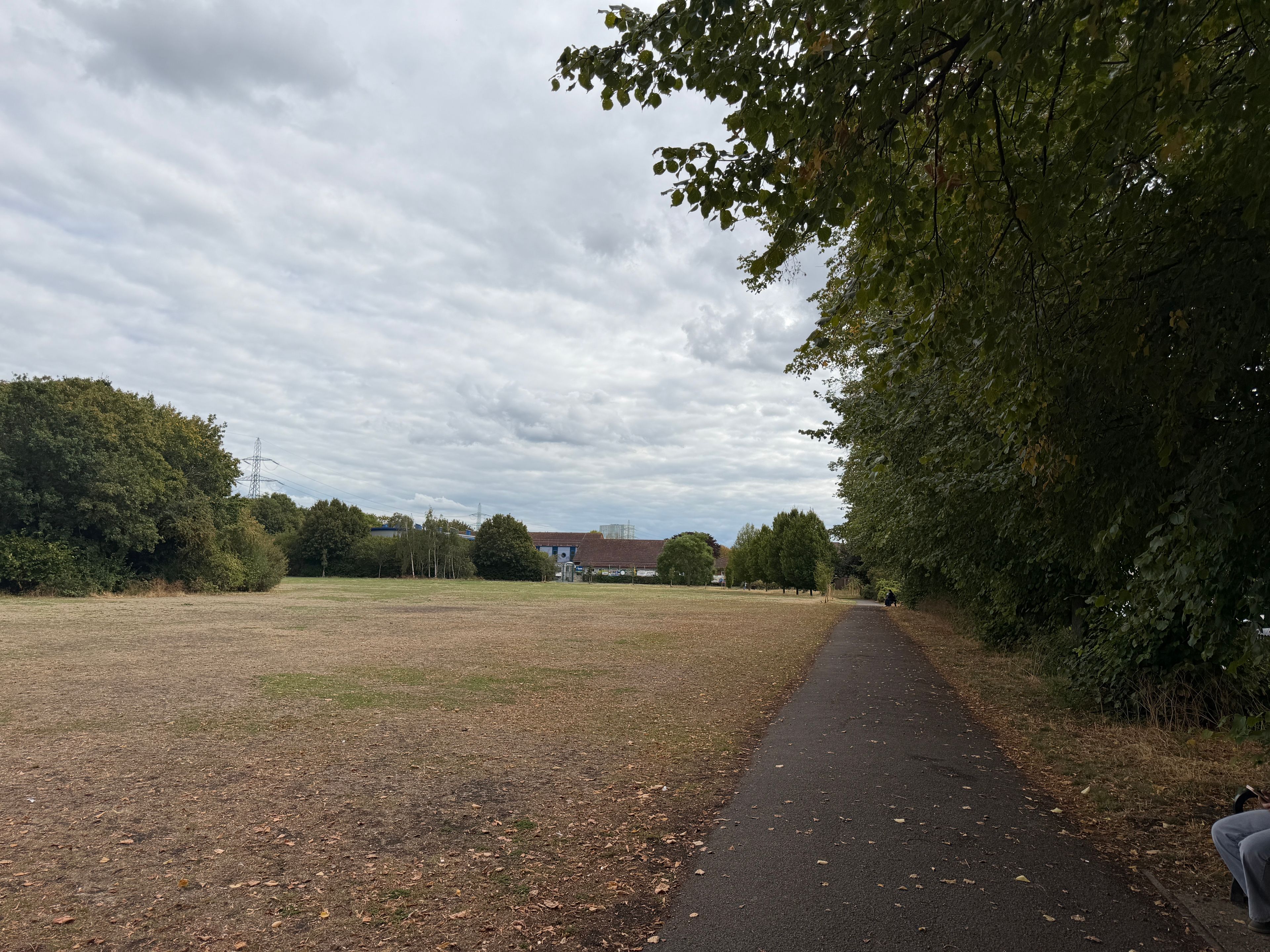image-21