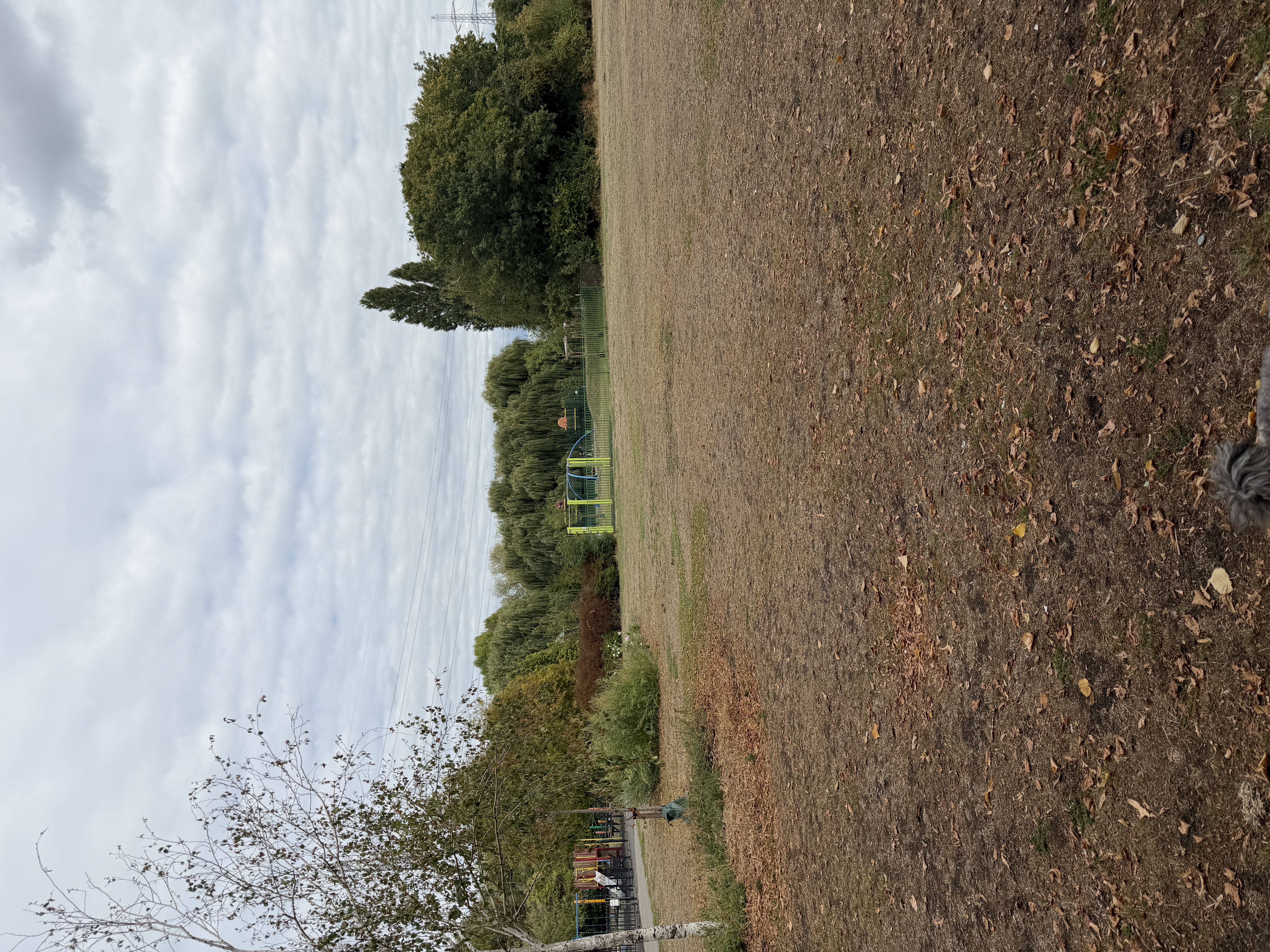 image-20