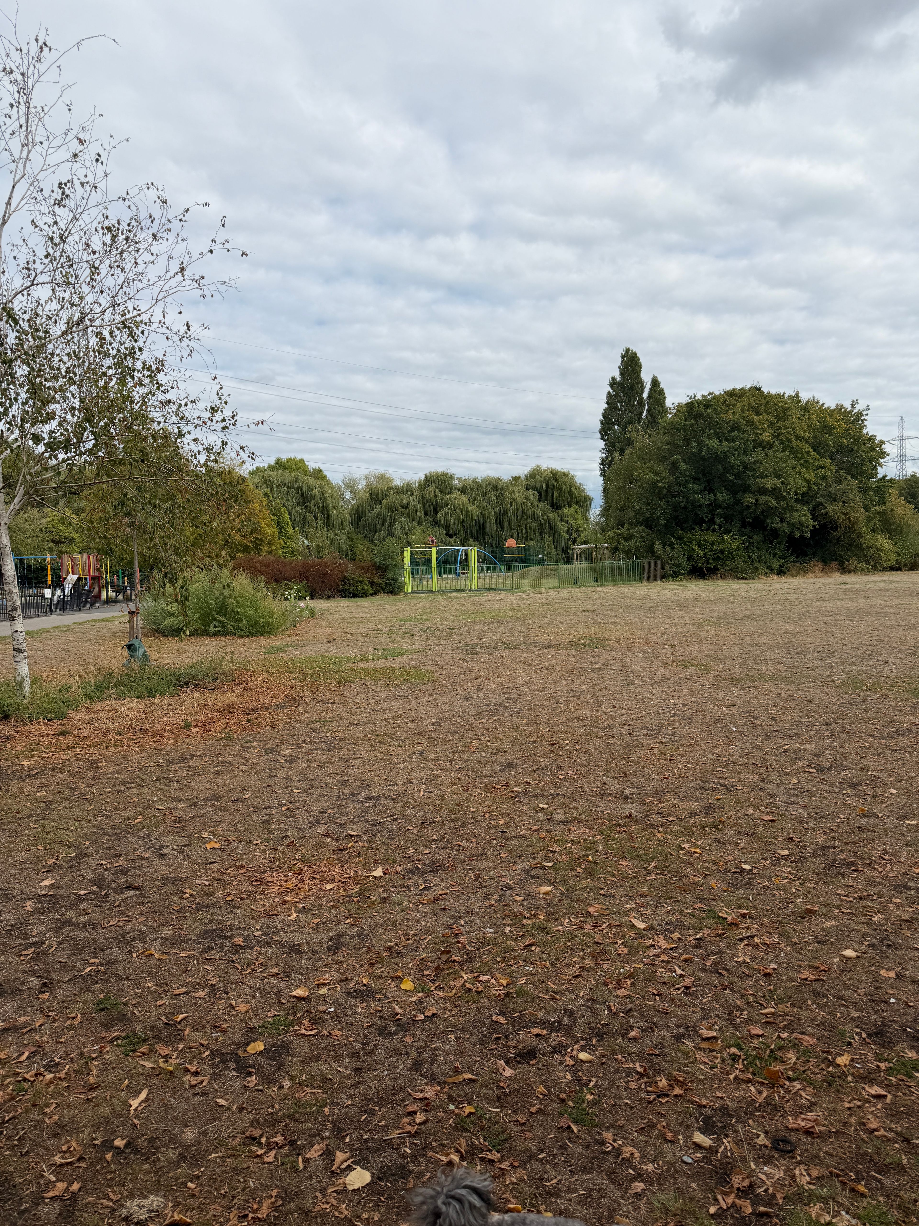 image-20