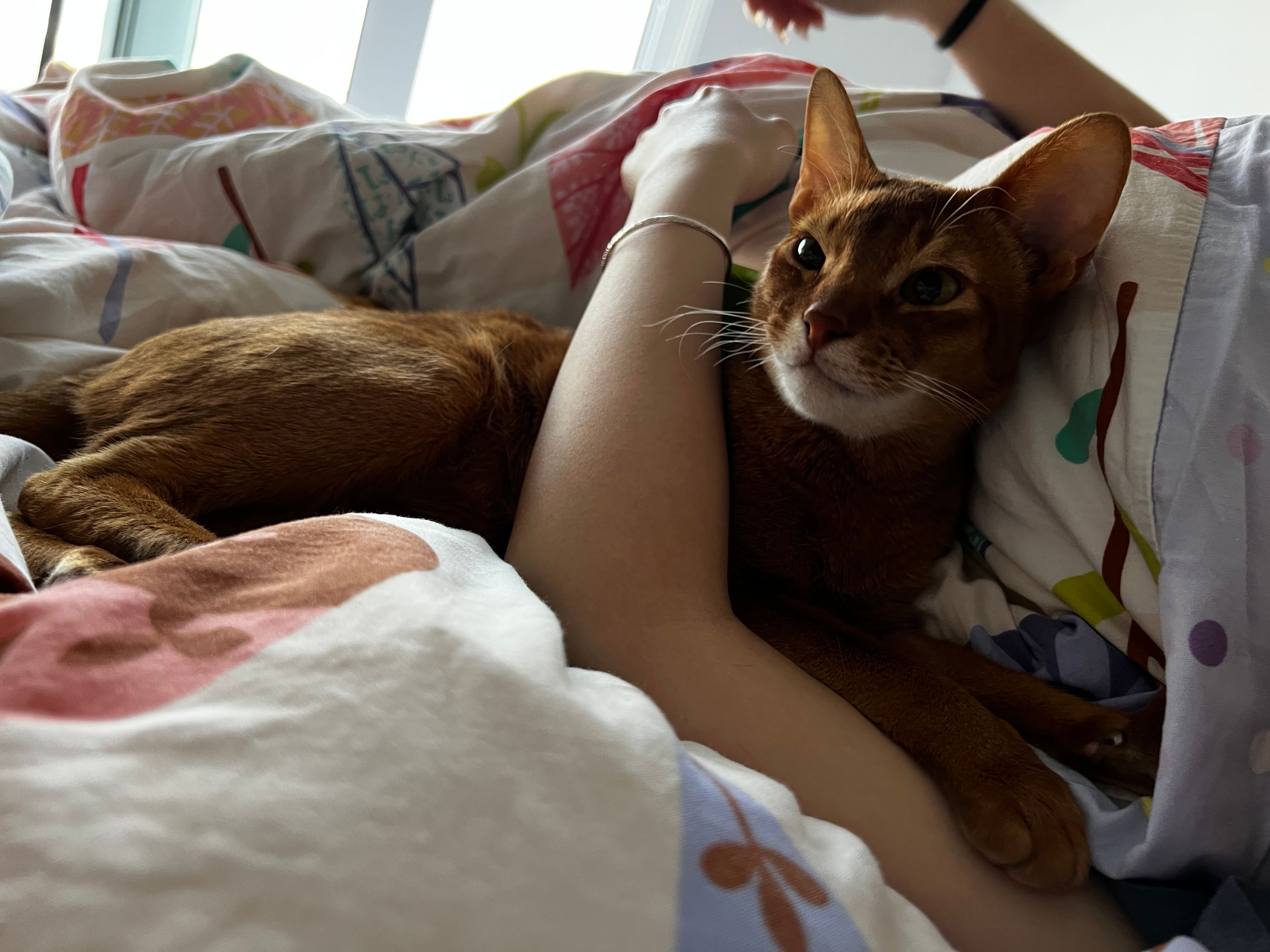 image-9