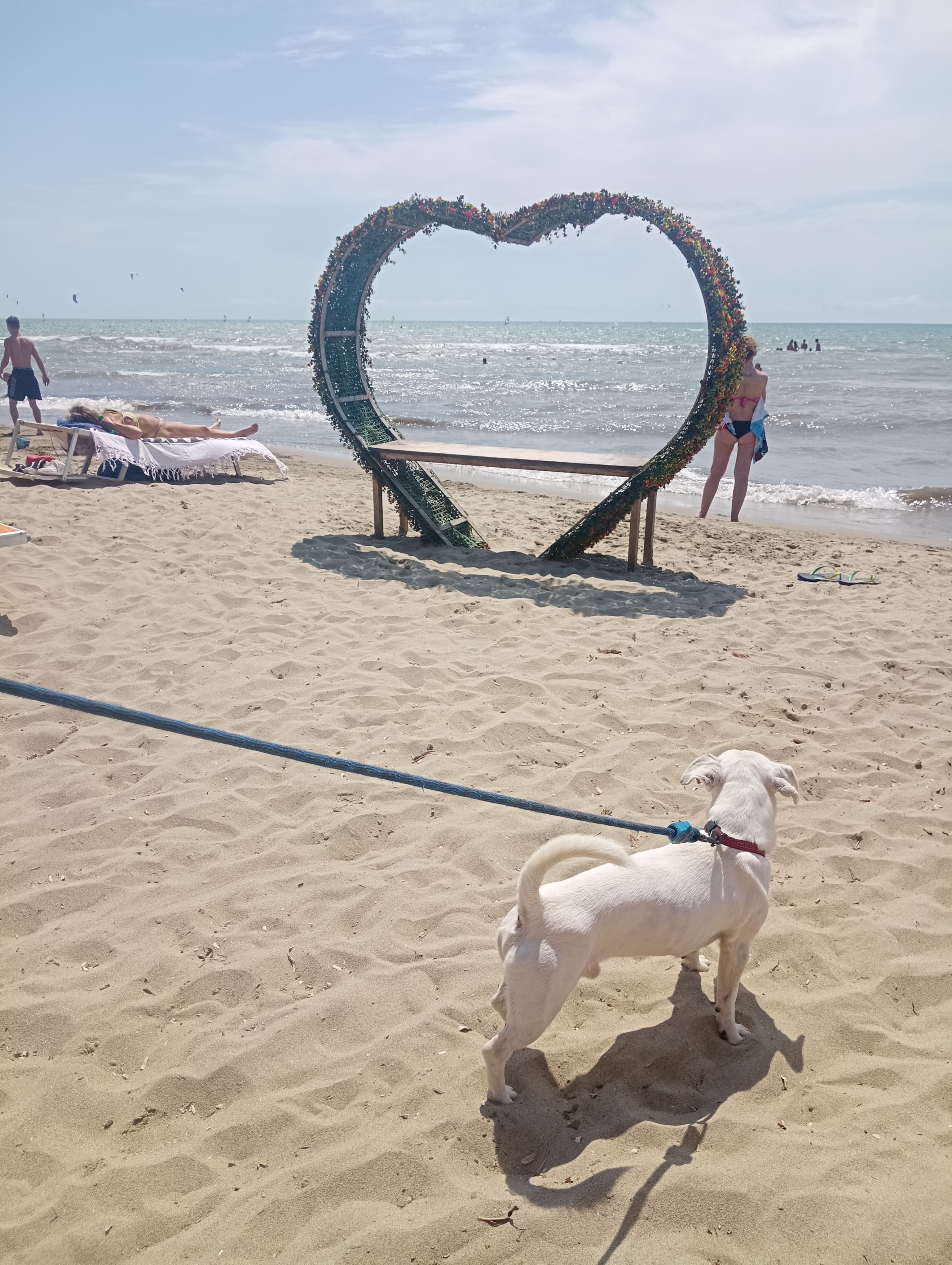 image-14