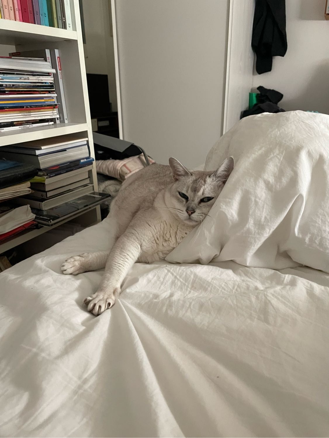 image-6