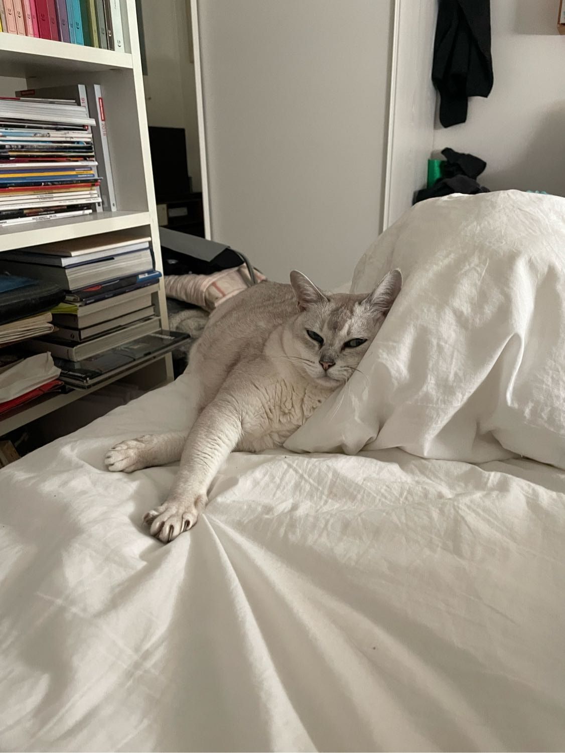 image-6