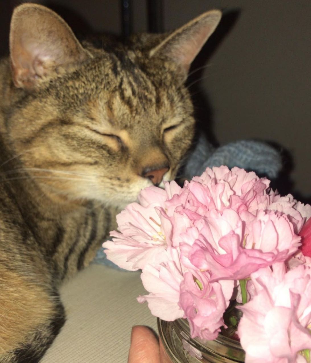 image-5