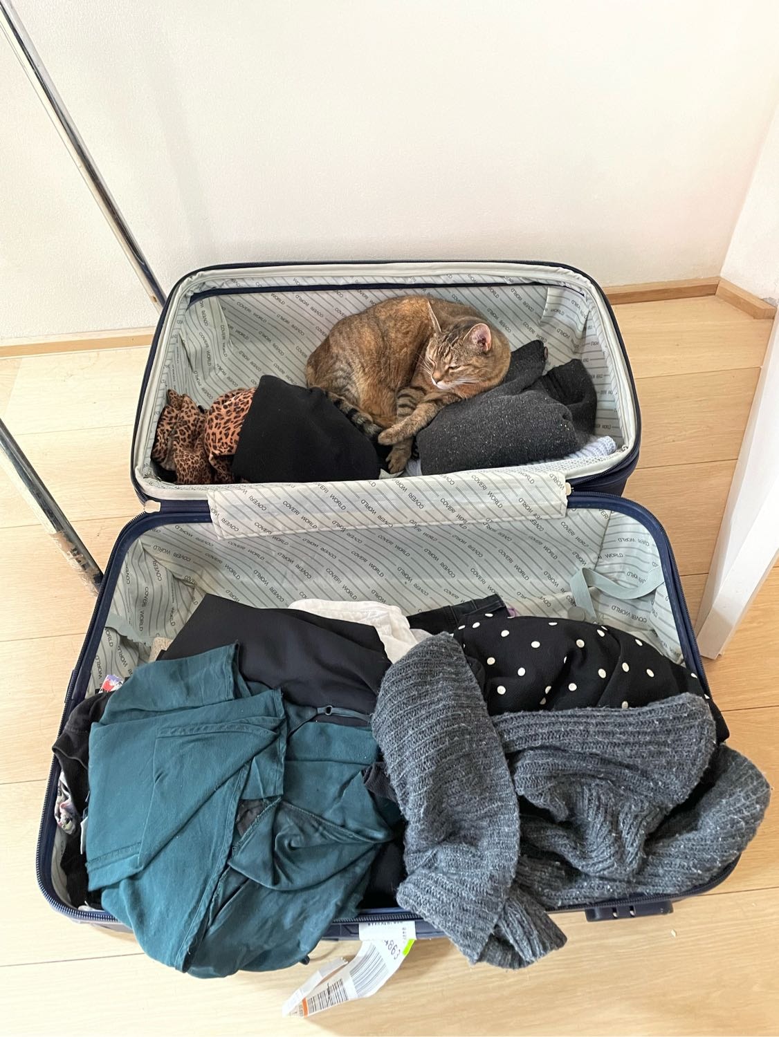 image-10