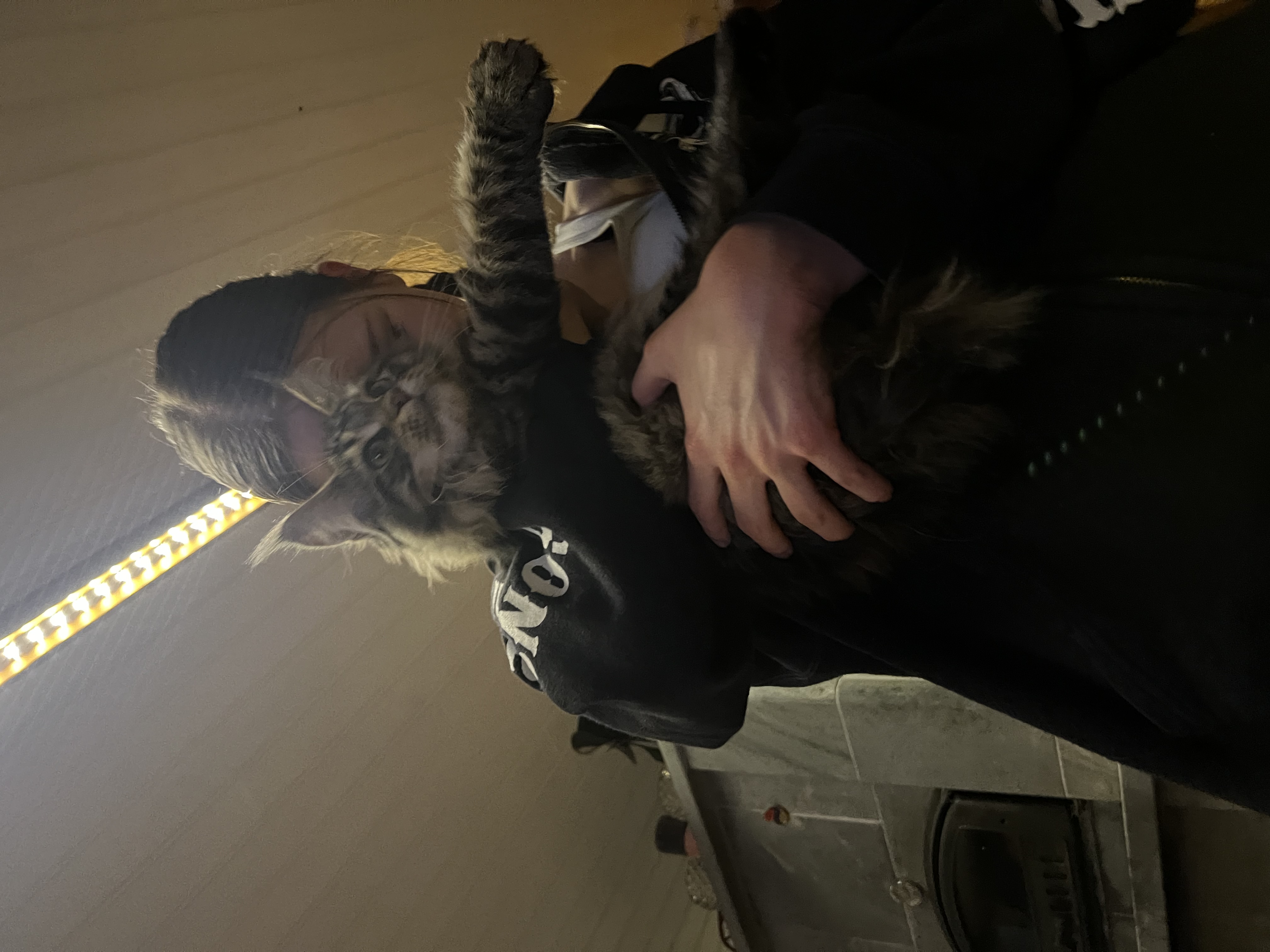 image-7