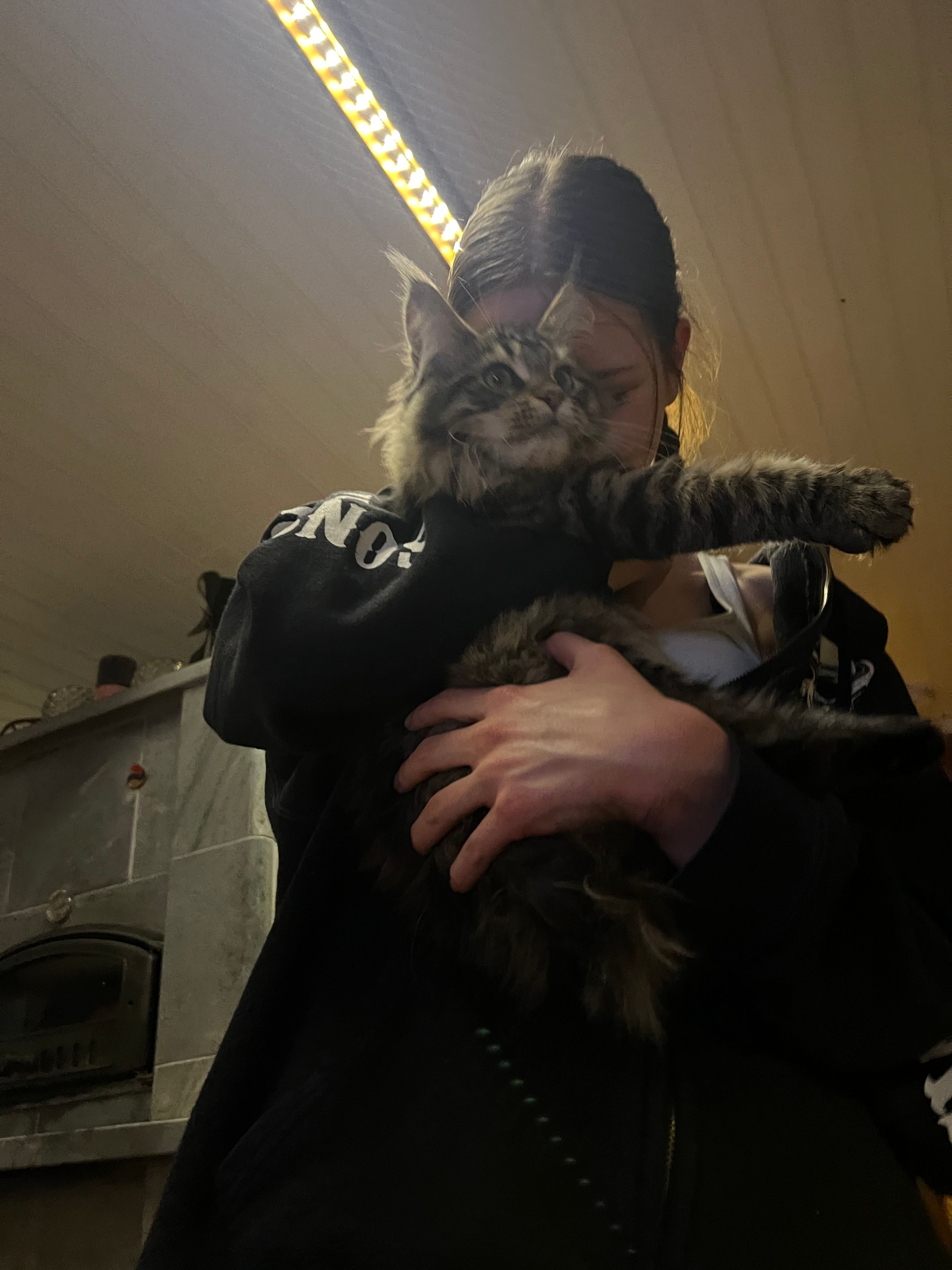 image-7