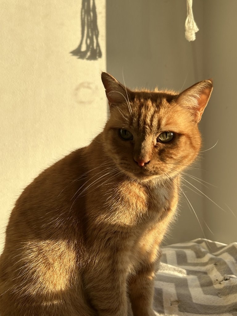 Marcel