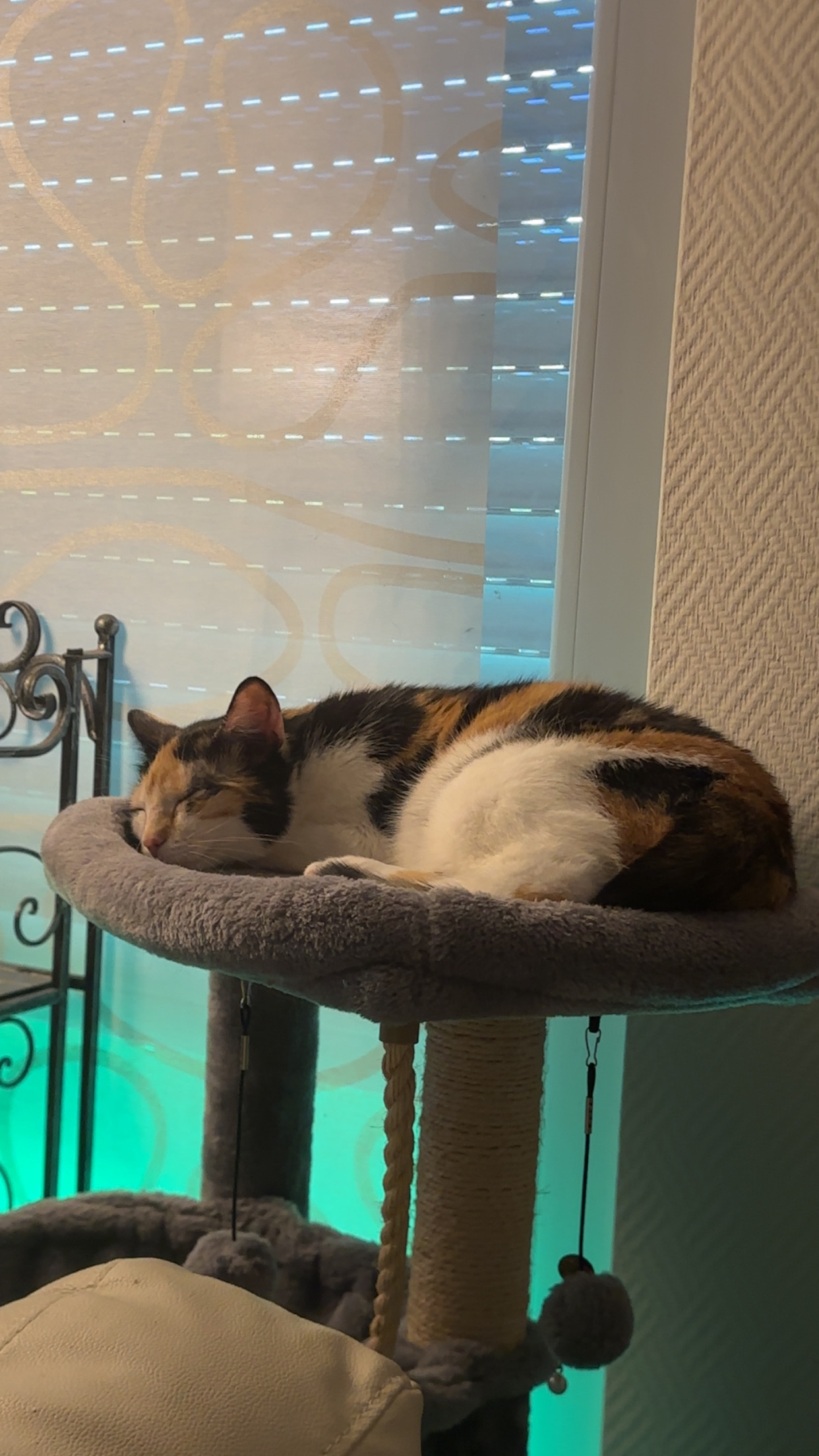 image-12