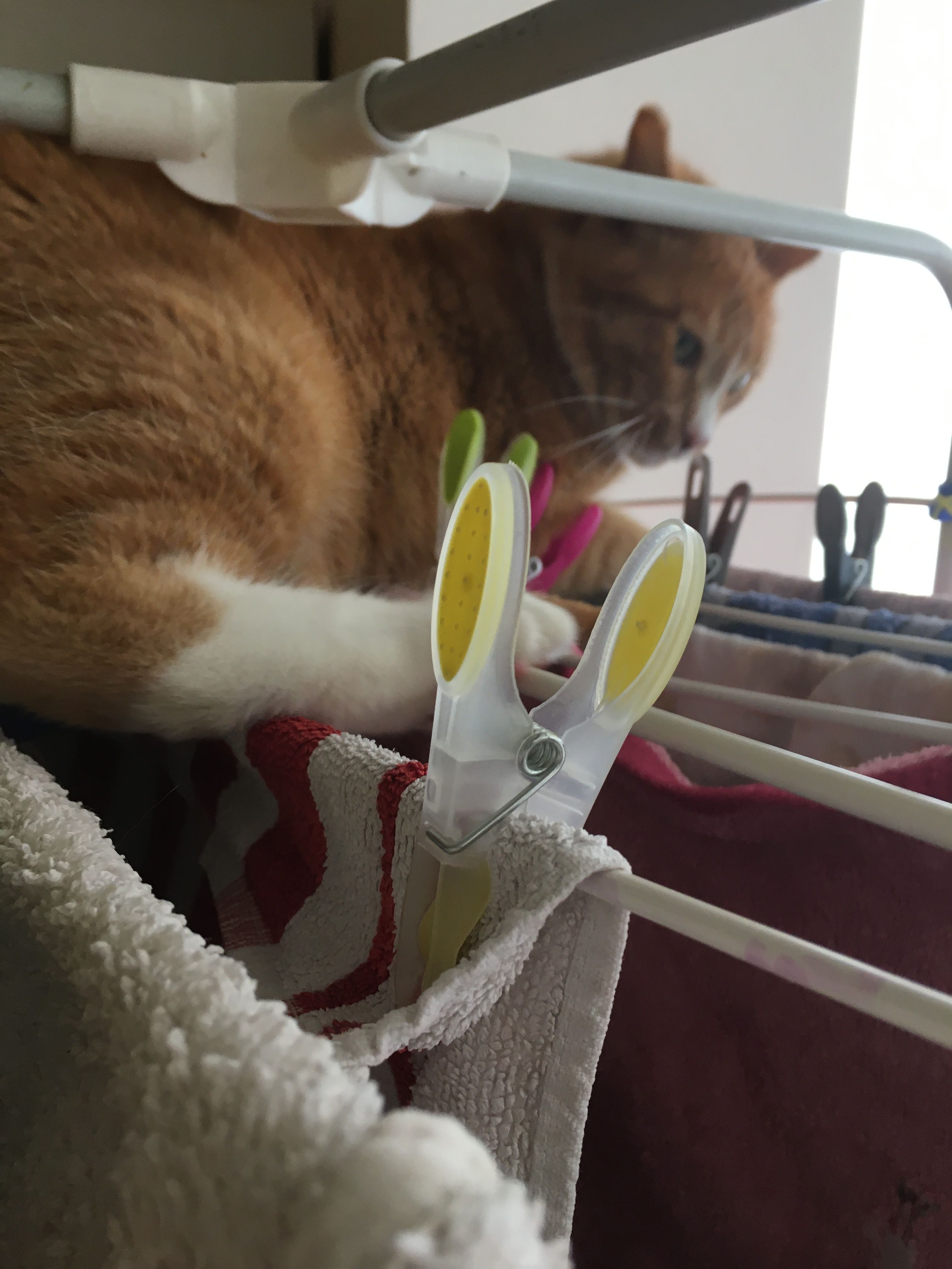 image-13