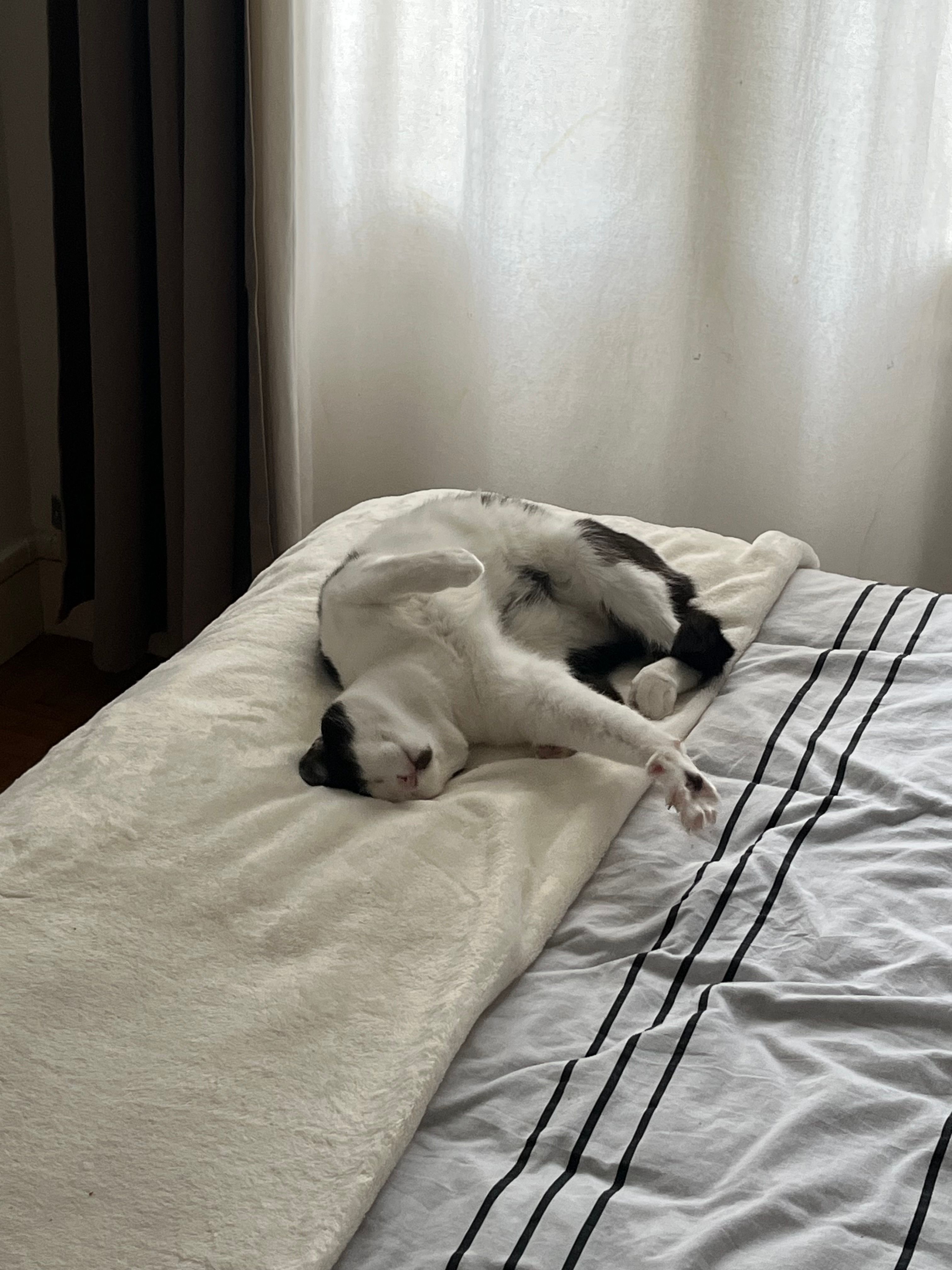 image-44