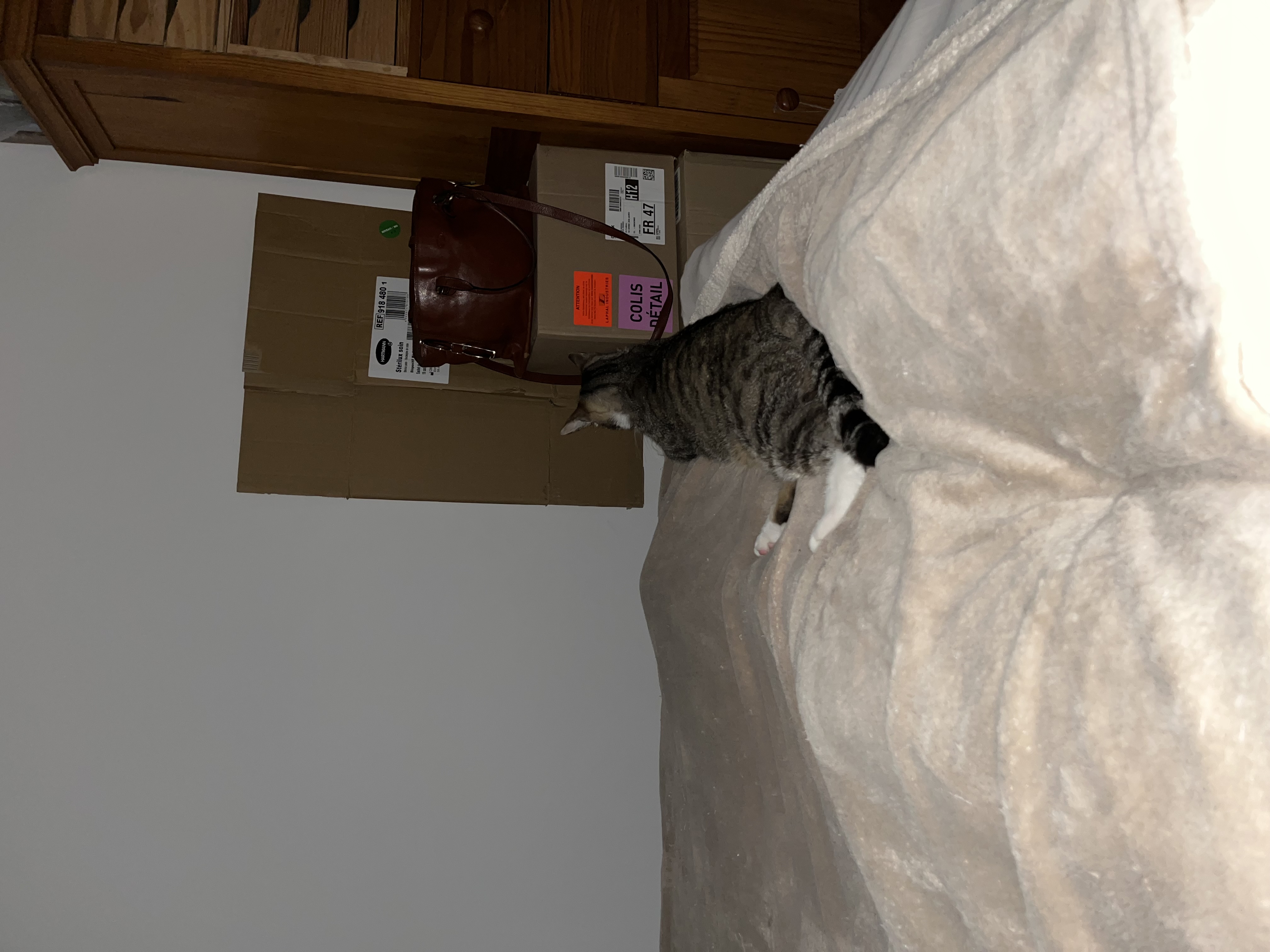 image-43