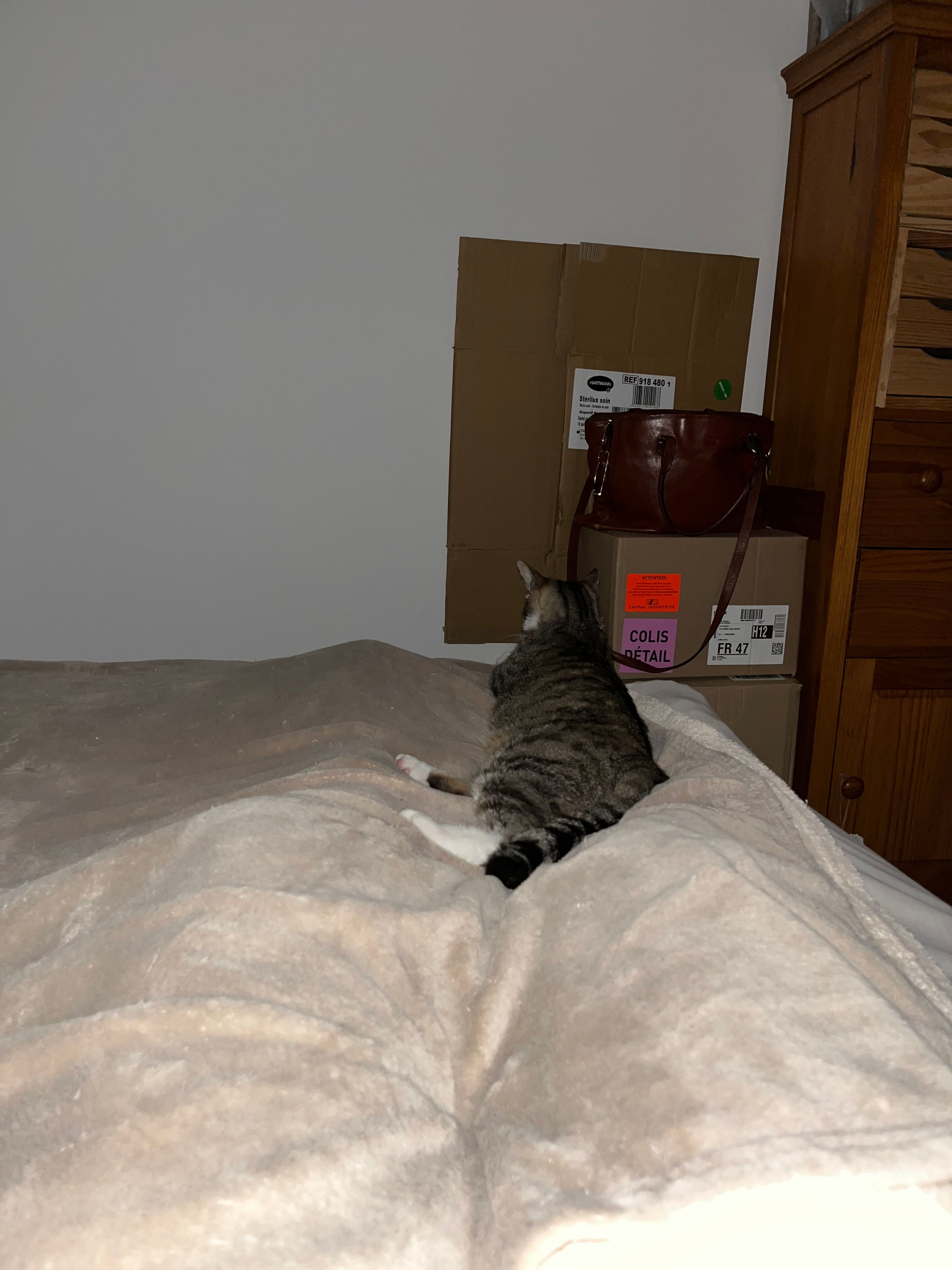 image-43