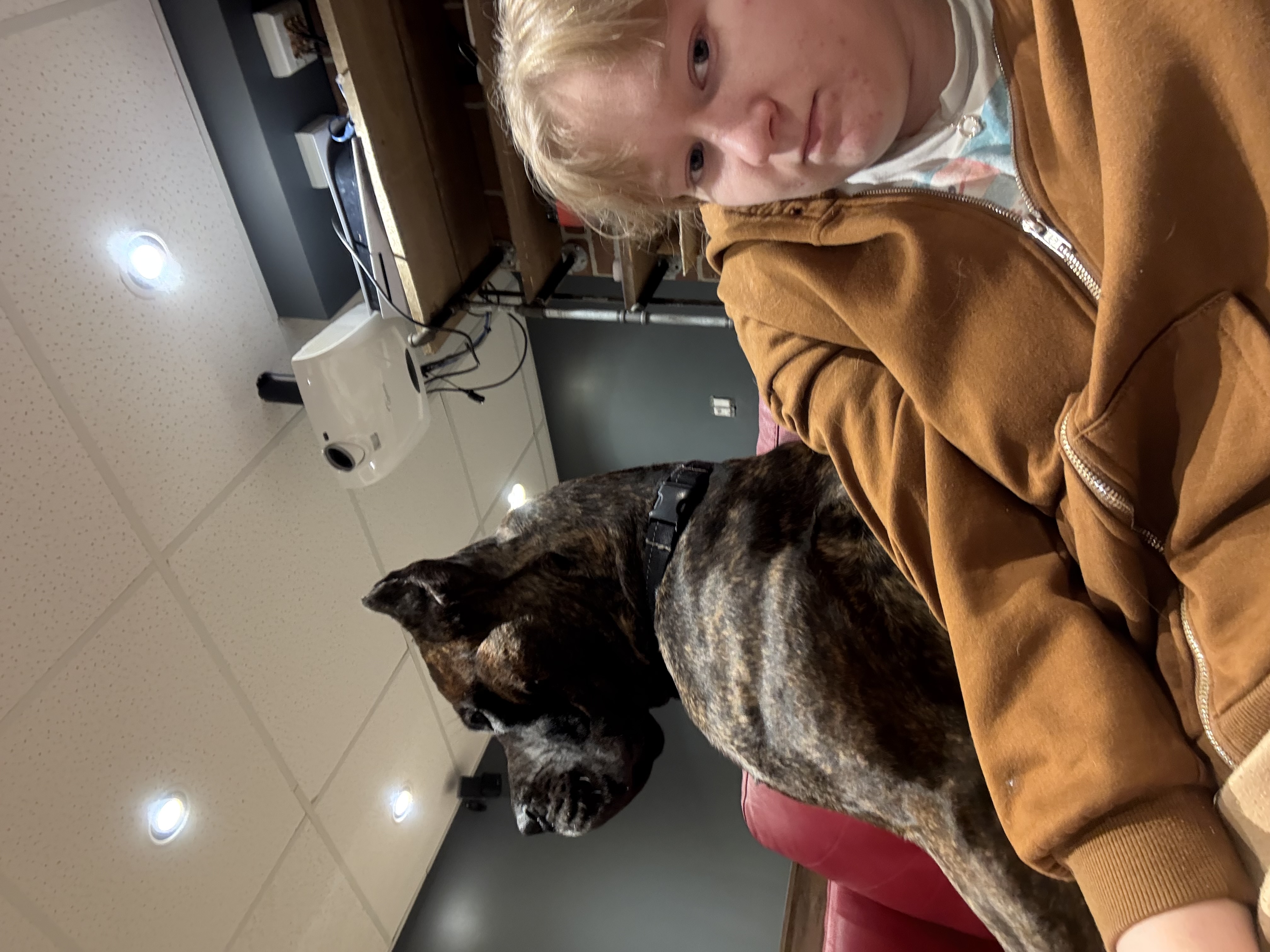 image-35