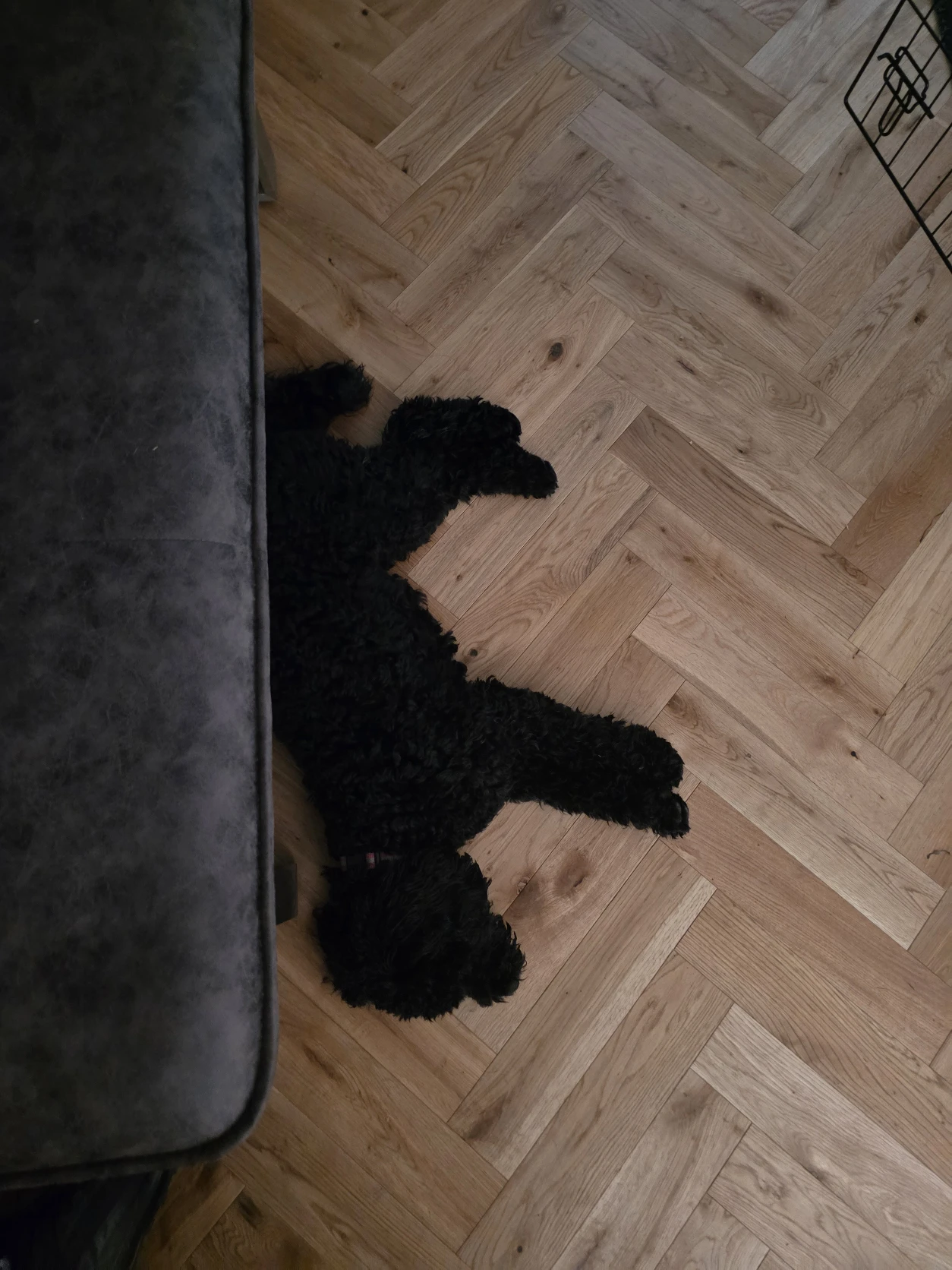 image-38