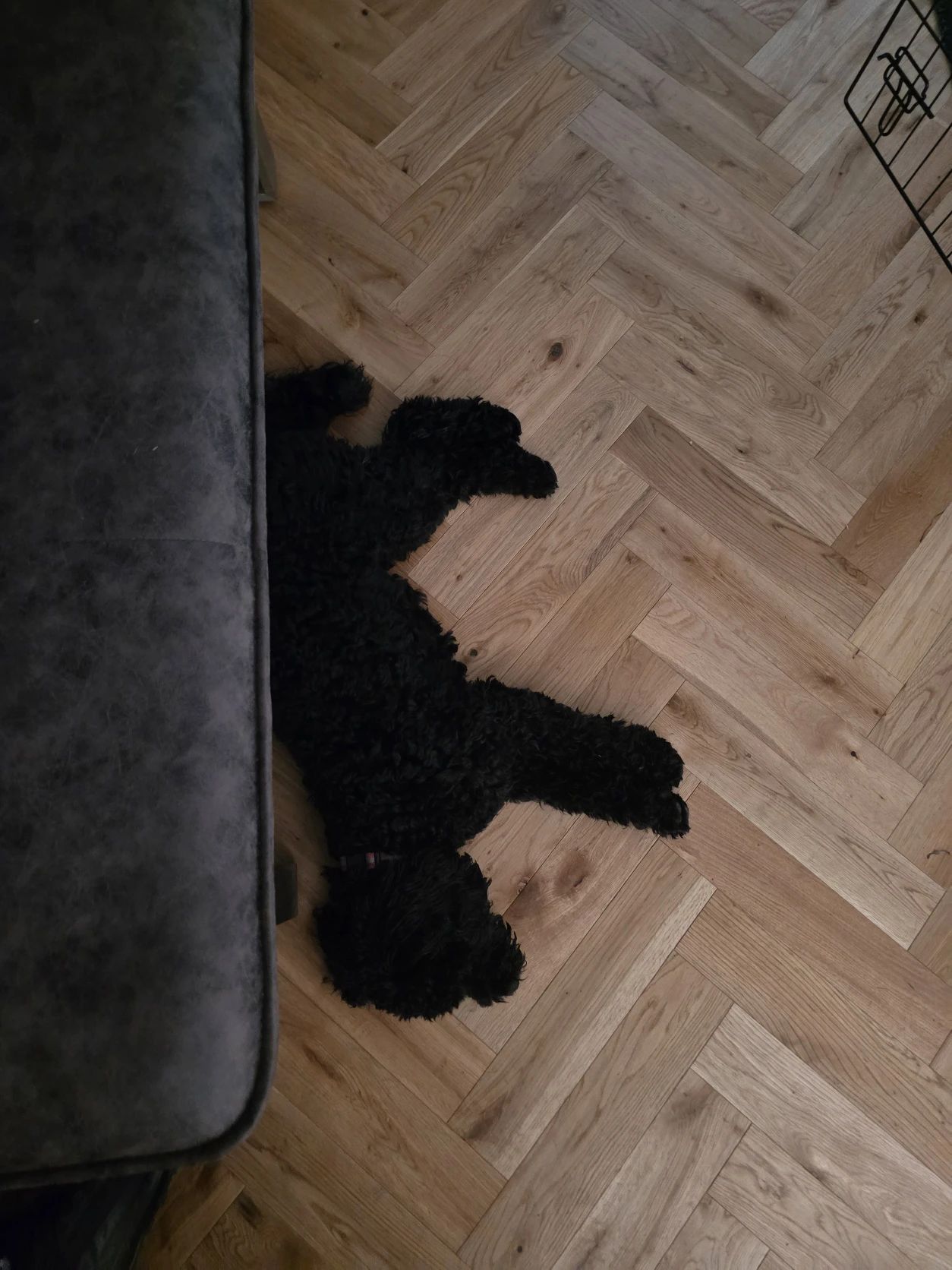 image-38