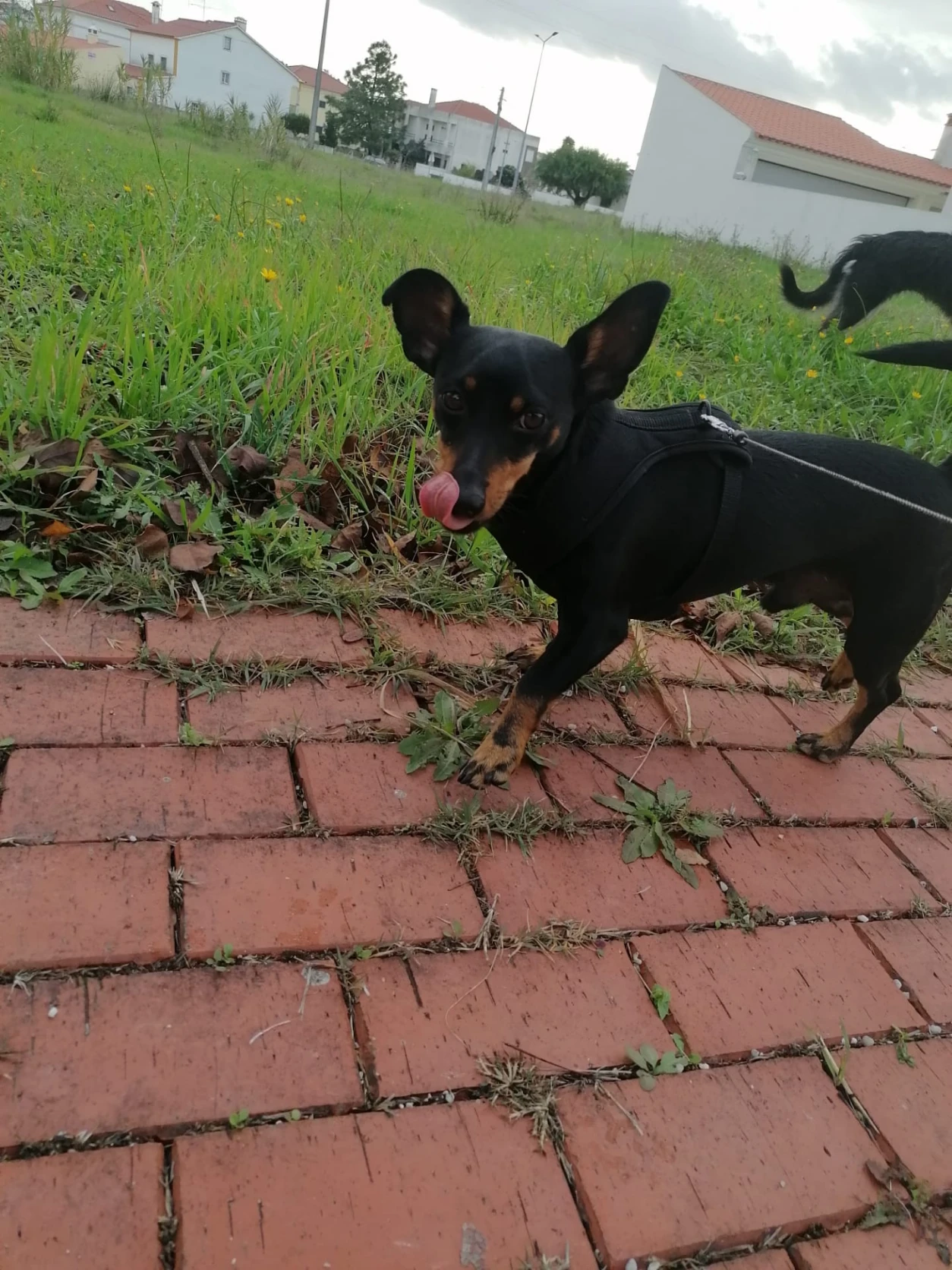 image-6